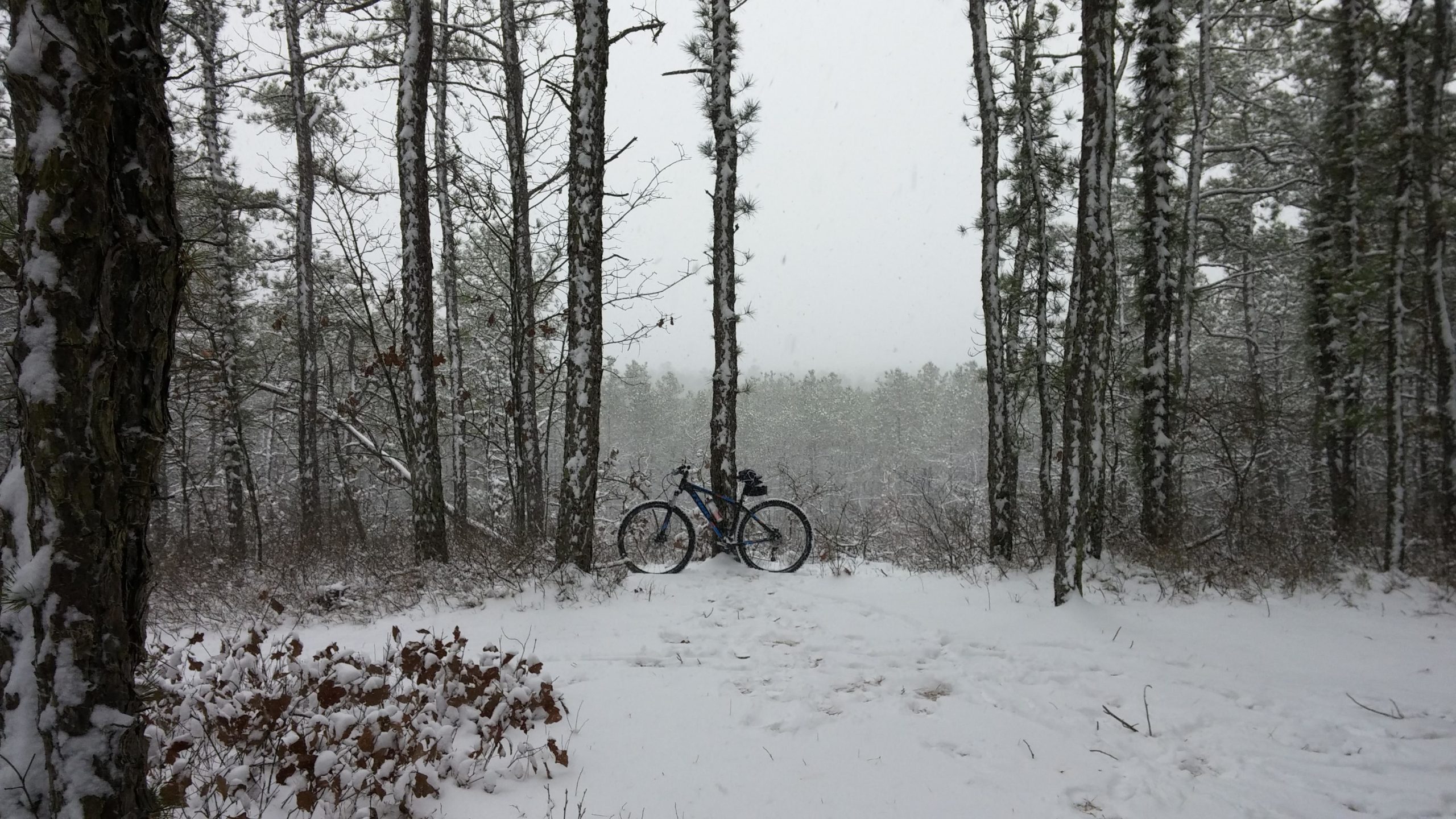 A blue bicycle leaning against a tree in a snowy forest, with snow-covered ground and trees in the background, creating a serene winter scene. Forked River Mountain mountain bike trail.