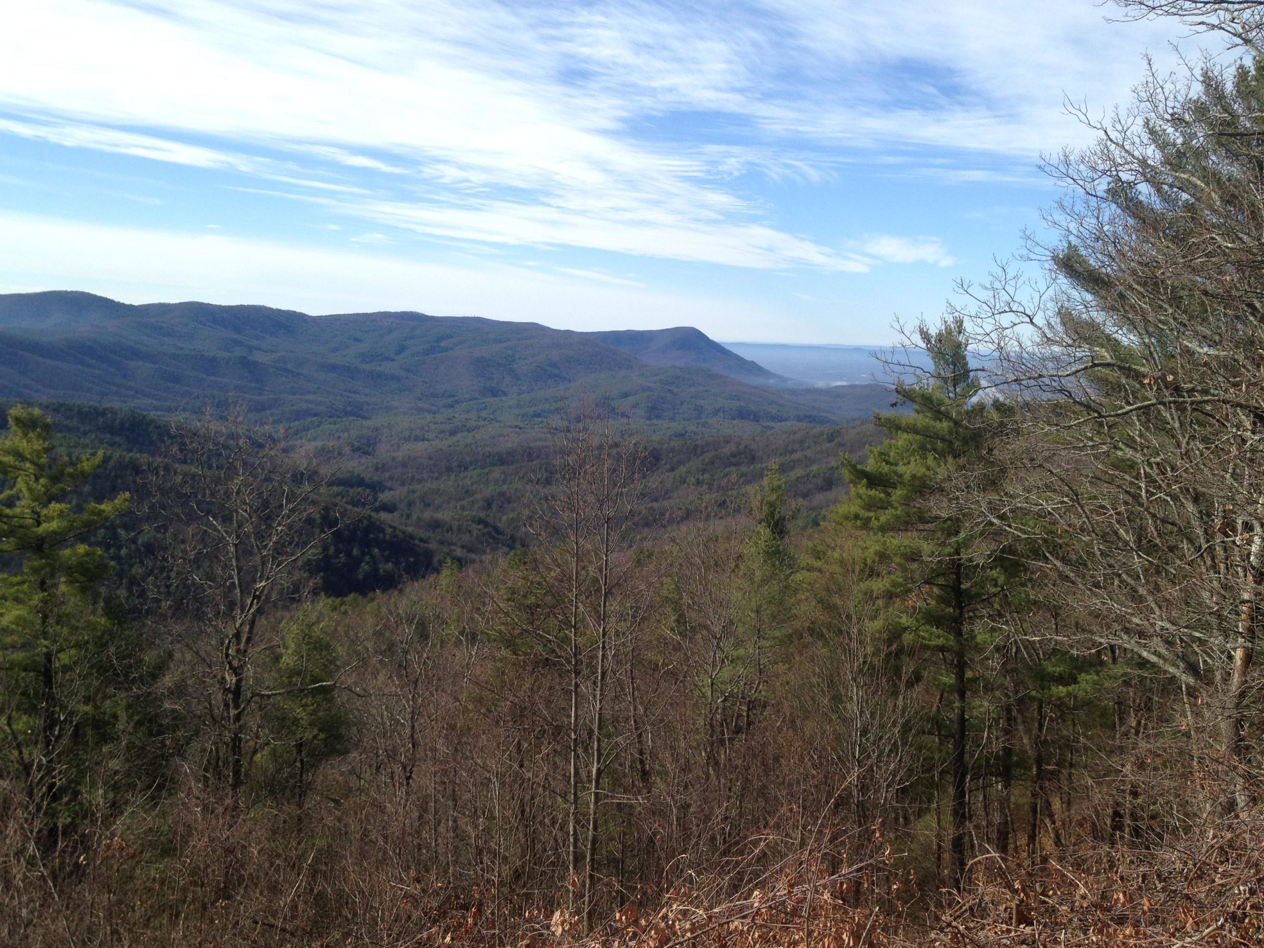 A scenic view of layered mountains and valleys under a partly cloudy sky, with sparse trees in the foreground. Pinhoti Trail: P1 / Bear Creek Pinhoti mountain bike trail.