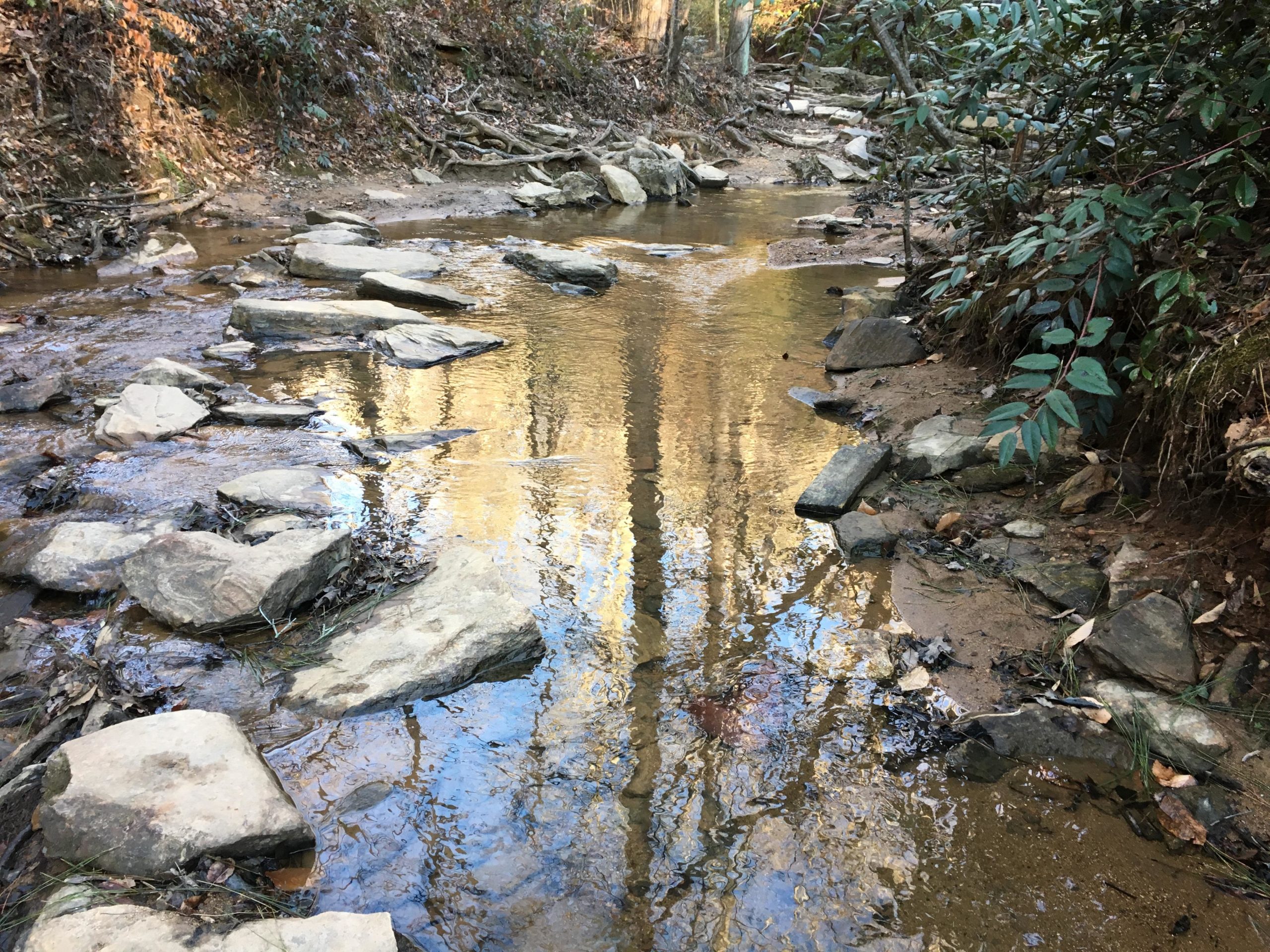A serene stream meanders through a wooded area, with smooth stones protruding from the water. The surface reflects tree trunks and foliage, creating a peaceful natural scene. Chicopee Woods mountain bike trail.