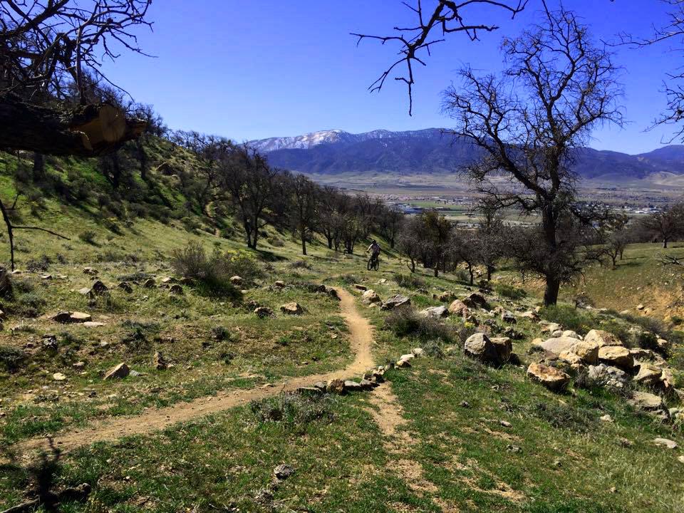 A scenic view of a winding dirt trail surrounded by lush green grass and sparse trees, leading down a hillside. In the background, snow-capped mountains rise against a clear blue sky, while rocky outcrops dot the landscape. The image captures the beauty of a natural outdoor setting, ideal for hiking or biking. TMTA Lehigh trails mountain bike trail.