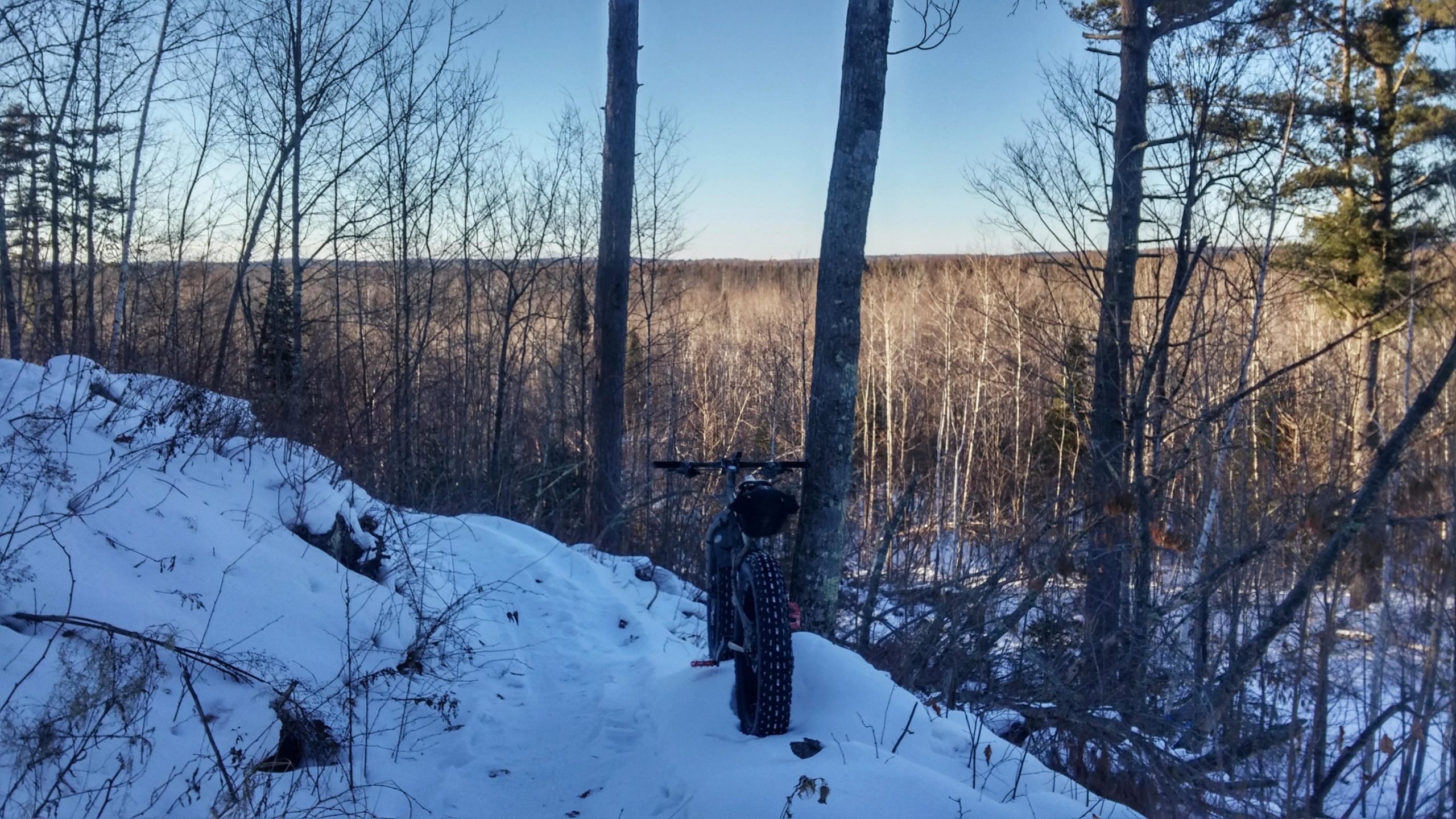 A mountain bike parked on a snowy trail surrounded by bare trees, with a distant view of a winter forest under a clear blue sky. CAMBA: Hayward and Seeley Clusters mountain bike trail.