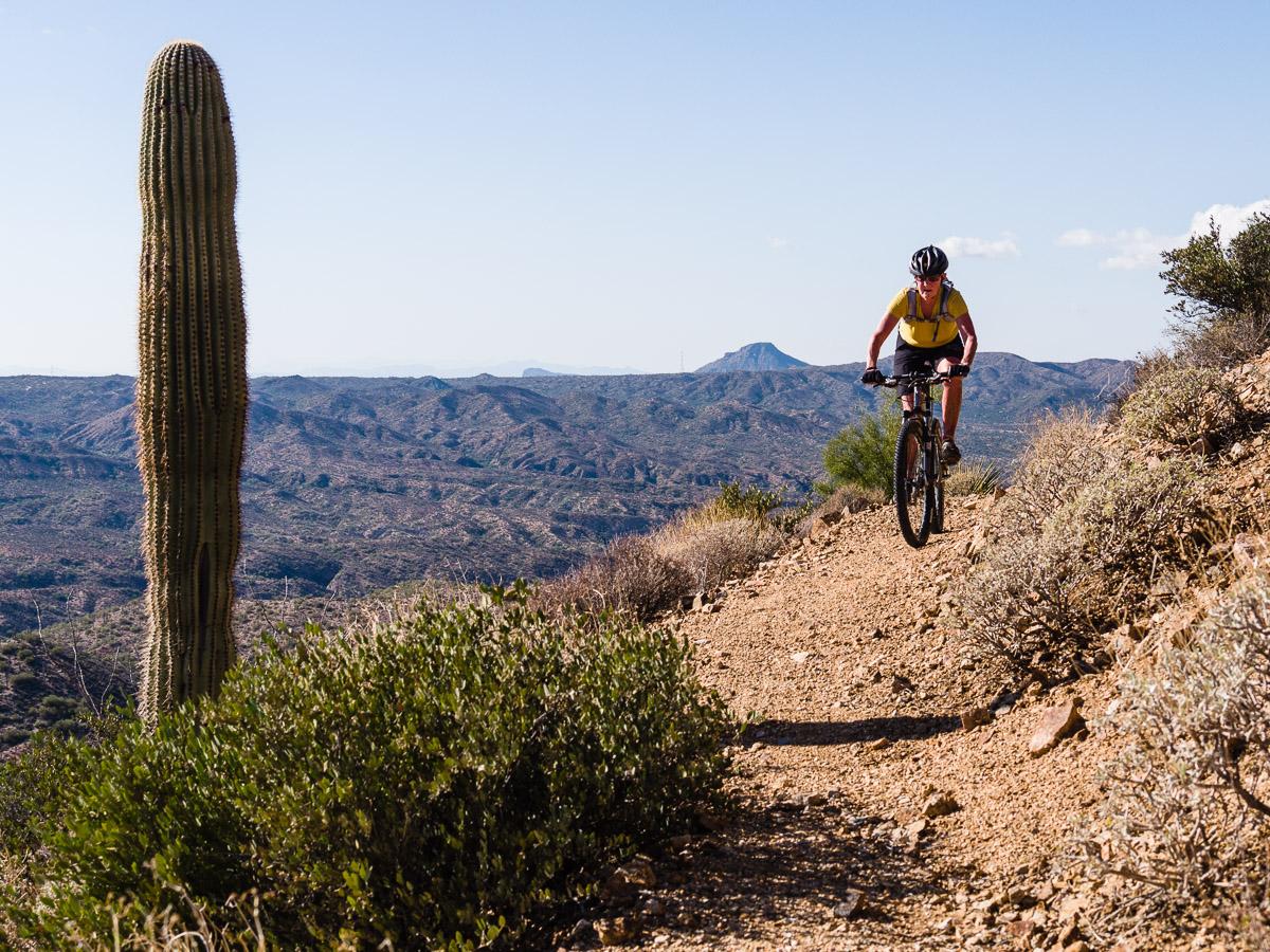 A mountain biker navigating a rocky trail in a desert landscape, with a tall cactus in the foreground and rolling hills in the background under a clear blue sky. Arizona Trail mountain bike trail.