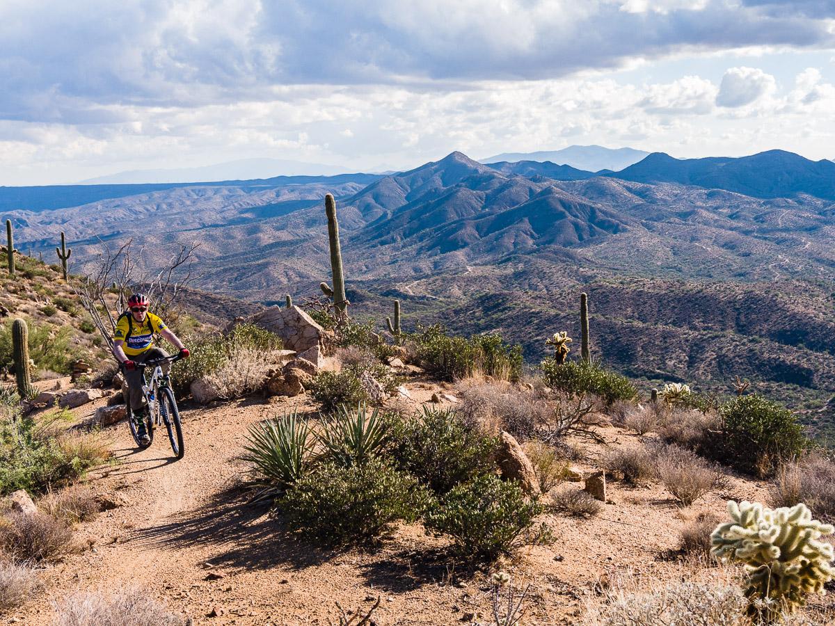 A mountain biker navigates a trail through a rugged desert landscape, with rolling hills and distant mountains in the background. Saguaro cacti and various desert plants surround the path under a partly cloudy sky. Arizona Trail mountain bike trail.