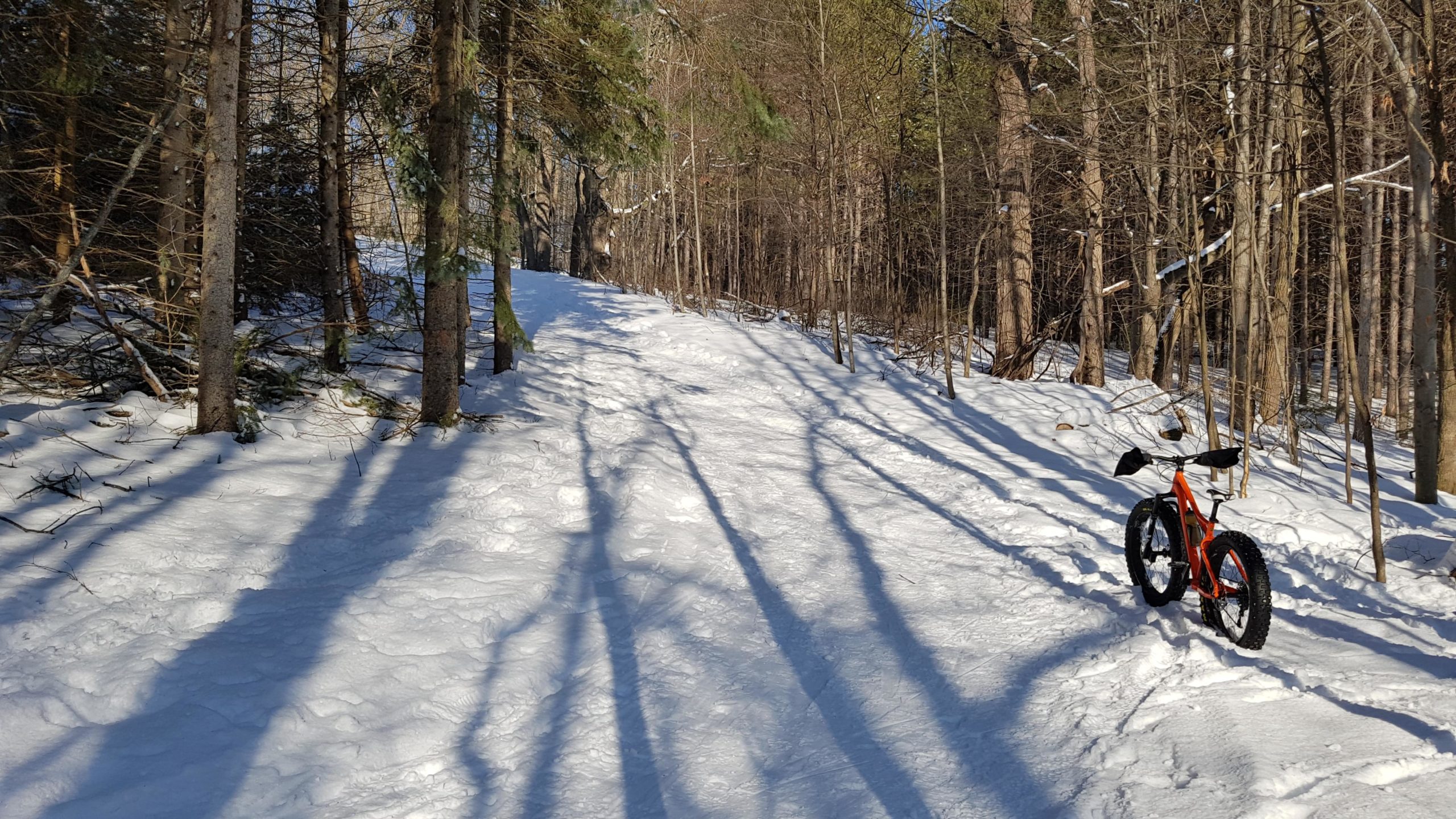 A snow-covered trail winding through a forest, with tall trees lining the path. A fat-tire bicycle is parked on the right side of the image, with shadows cast by the trees creating patterns on the snow. The sun is shining, illuminating the winter scene. Albion Hills mountain bike trail.