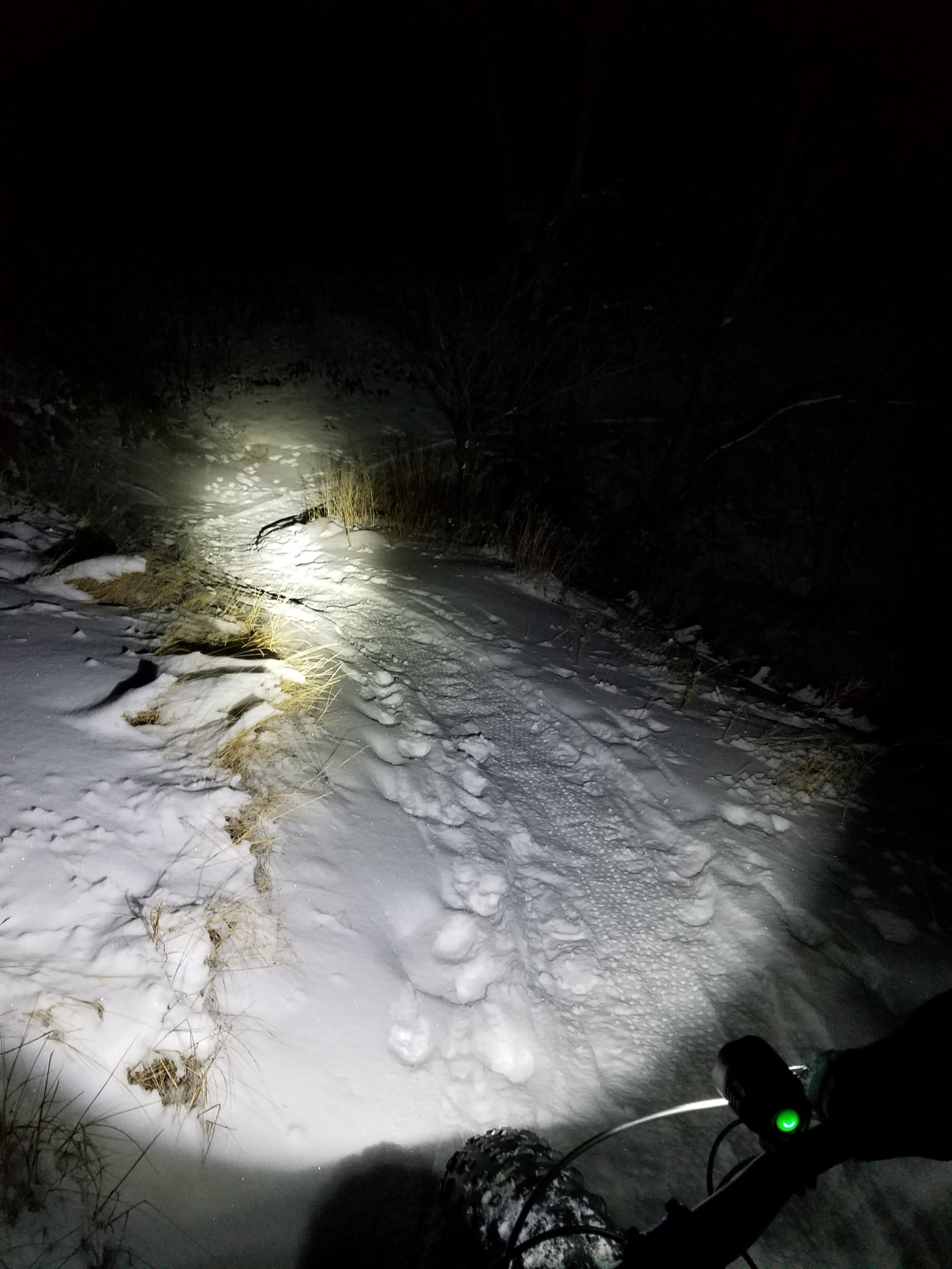 A snowy trail illuminated by a bike’s headlight during nighttime. One side shows fresh tire tracks in the snow, while the other has tall grass partially covered by snow. The dark surroundings indicate it is evening or nighttime, and the bike is in the foreground, with a green light visible on the handlebar. HLMP mountain bike trail.