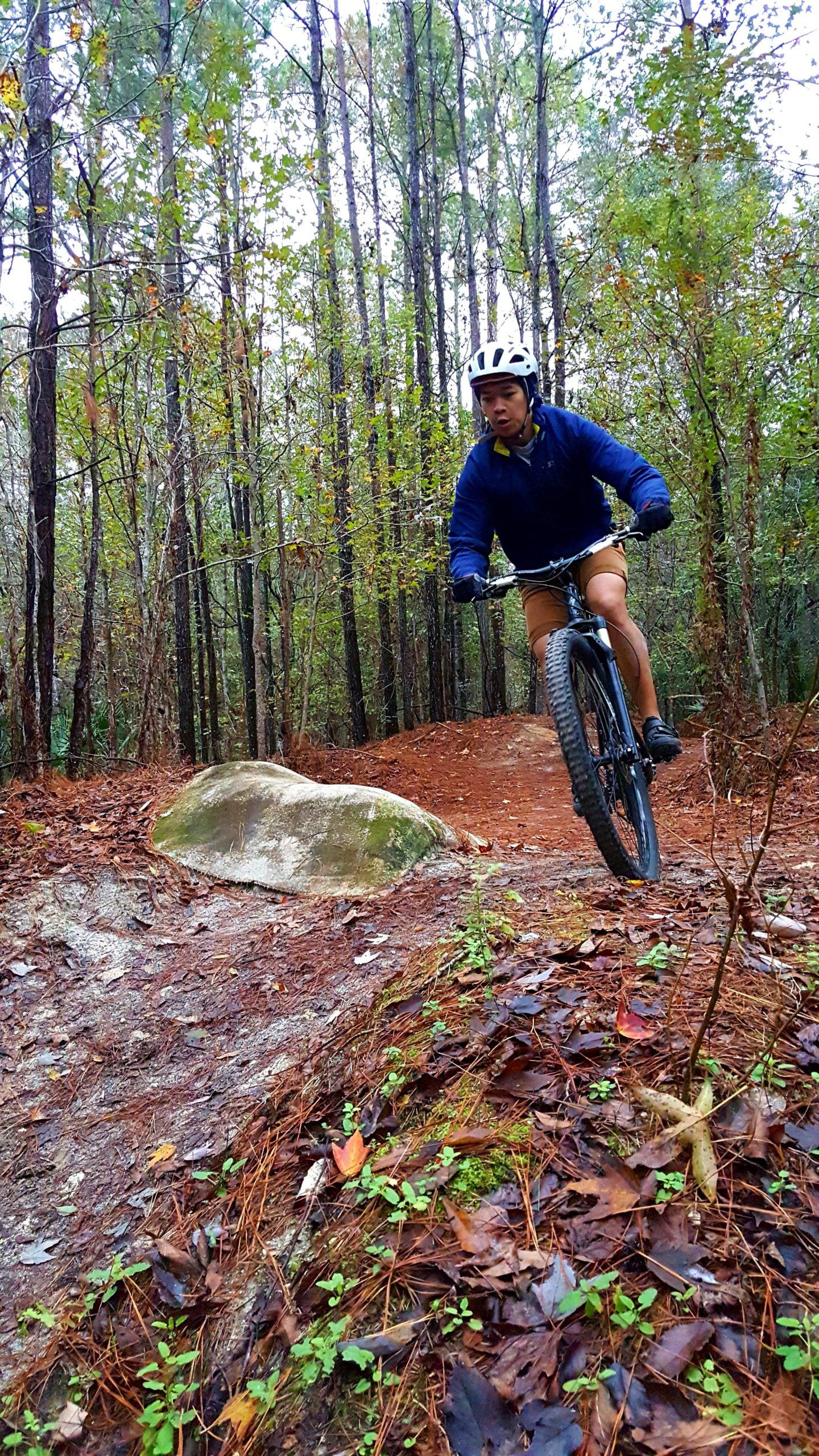 A person riding a mountain bike on a dirt trail surrounded by trees. The rider is in mid-motion, navigating over a rock on the path, wearing a helmet and a blue jacket. The ground is covered with fallen leaves and pine needles, indicating a damp environment. Tillie Fowler Regional Park mountain bike trail.