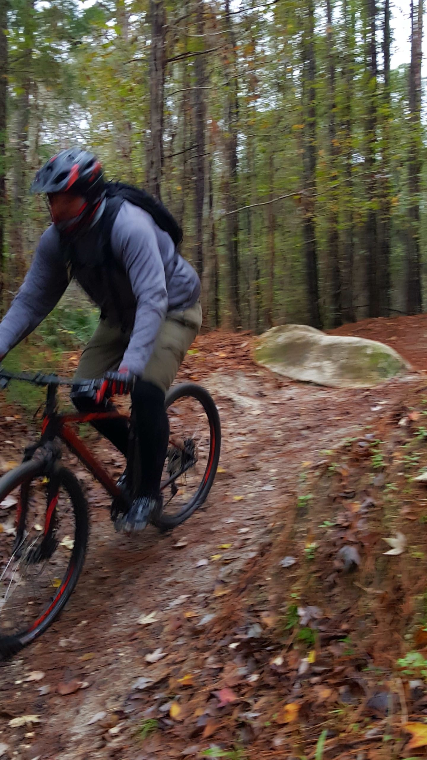 A cyclist wearing a helmet and a grey jacket rides a mountain bike along a winding, dirt trail in a wooded area. The ground is covered with fallen leaves, and a large rock is visible nearby. The background features tall trees with green and yellow foliage. Tillie Fowler Regional Park mountain bike trail.
