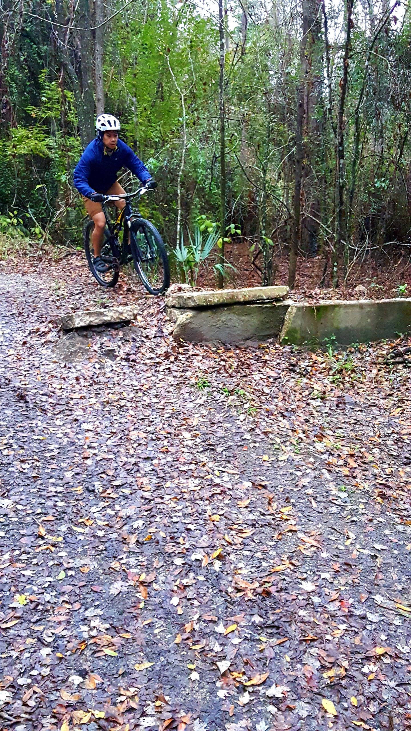 A person in a blue jacket and helmet is riding a mountain bike over a small rock barrier on a muddy, leaf-covered trail surrounded by greenery. The scene captures the energy and excitement of mountain biking in a natural outdoor setting. Tillie Fowler Regional Park mountain bike trail.