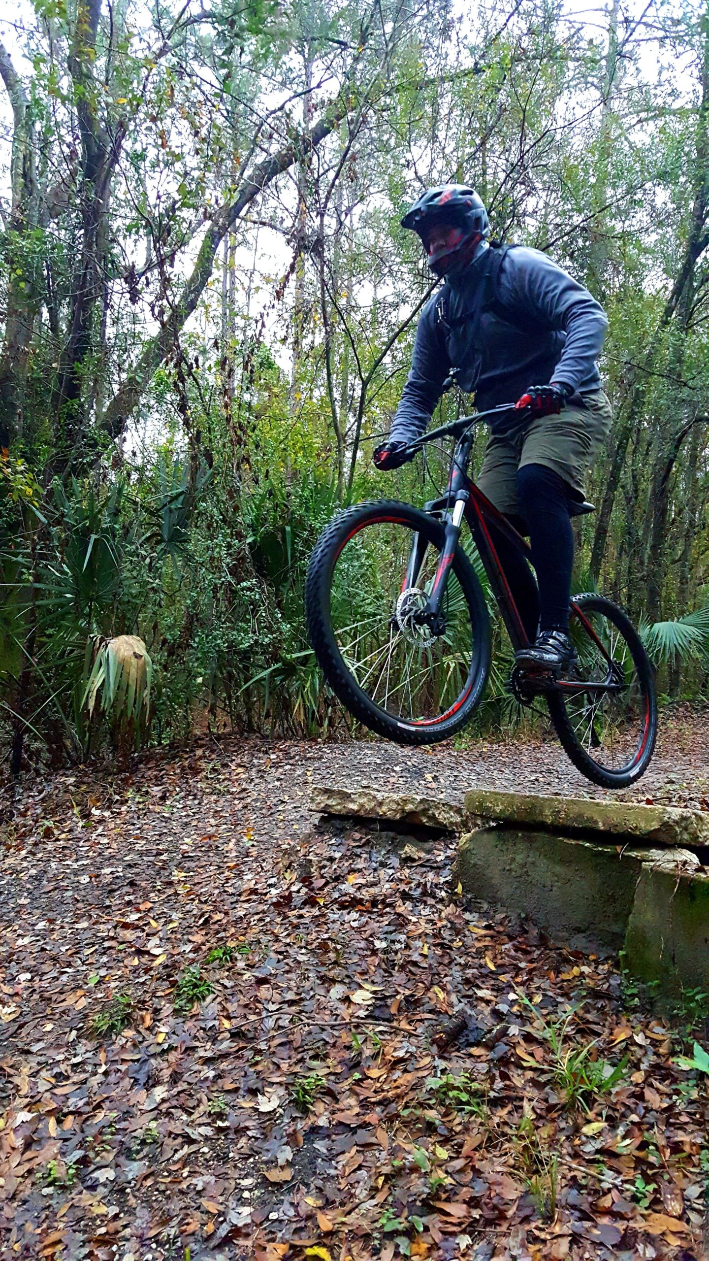 A mountain biker wearing a helmet and dark clothing is captured mid-jump over a rocky obstacle on a wooded trail. Surrounding trees and foliage add a natural backdrop, with fallen leaves covering the ground. The scene conveys a sense of adventure and outdoor activity. Tillie Fowler Regional Park mountain bike trail.