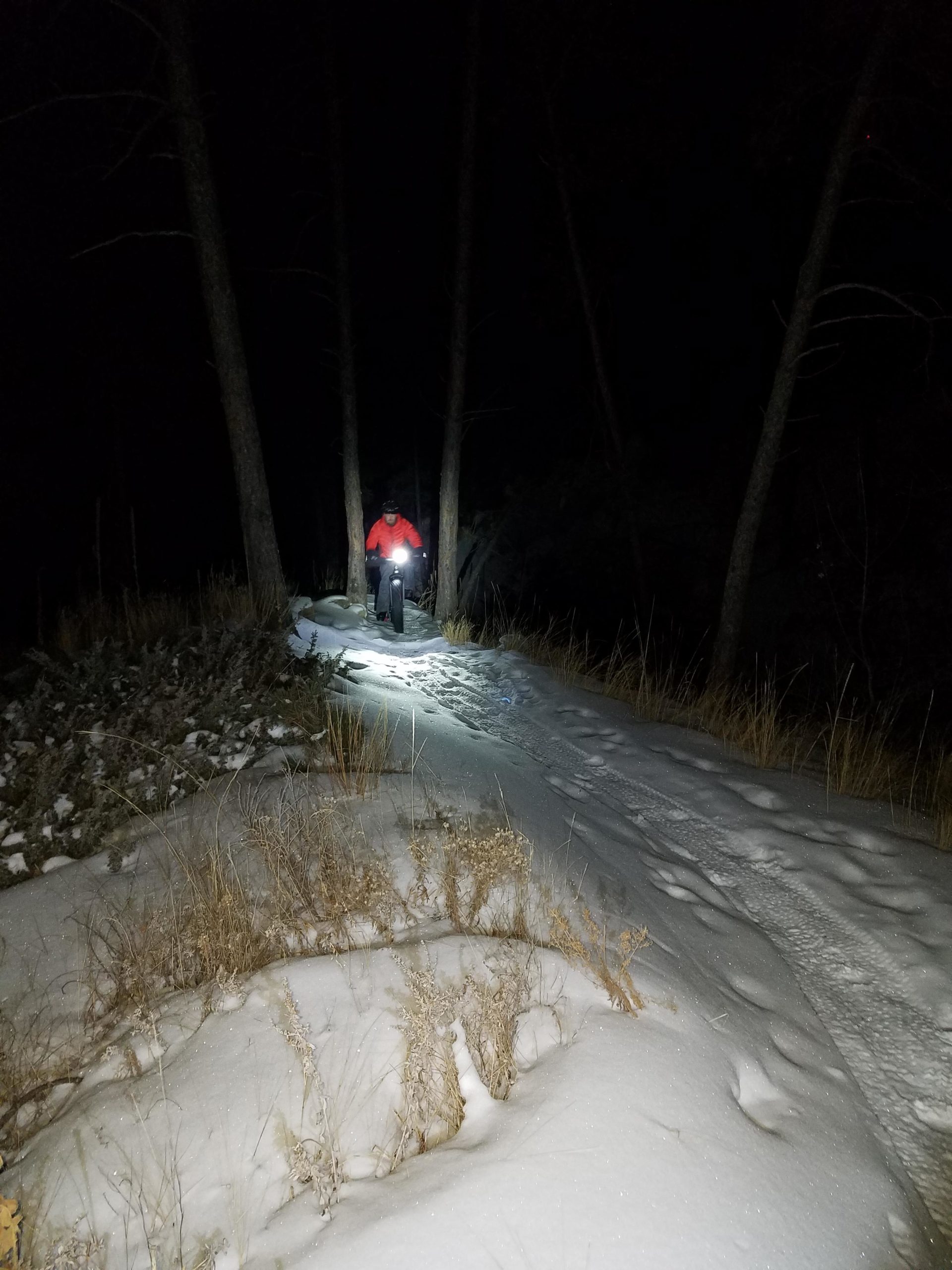 A cyclist wearing a red jacket rides along a snow-covered path in a dark, wooded area. The scene is illuminated by a bright headlamp, highlighting the trail and surrounding pine trees. HLMP mountain bike trail.