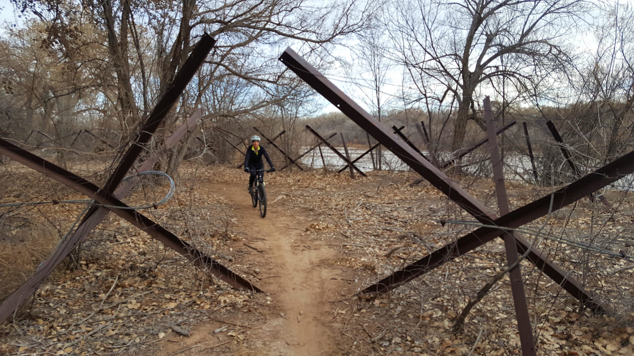 A person riding a mountain bike along a dirt path near a river, surrounded by bare trees and rusted metal barriers arranged in an X-shape. The ground is covered with dry leaves, indicating a moderate autumn or winter scenery. Albuquerque Bosque mountain bike trail.