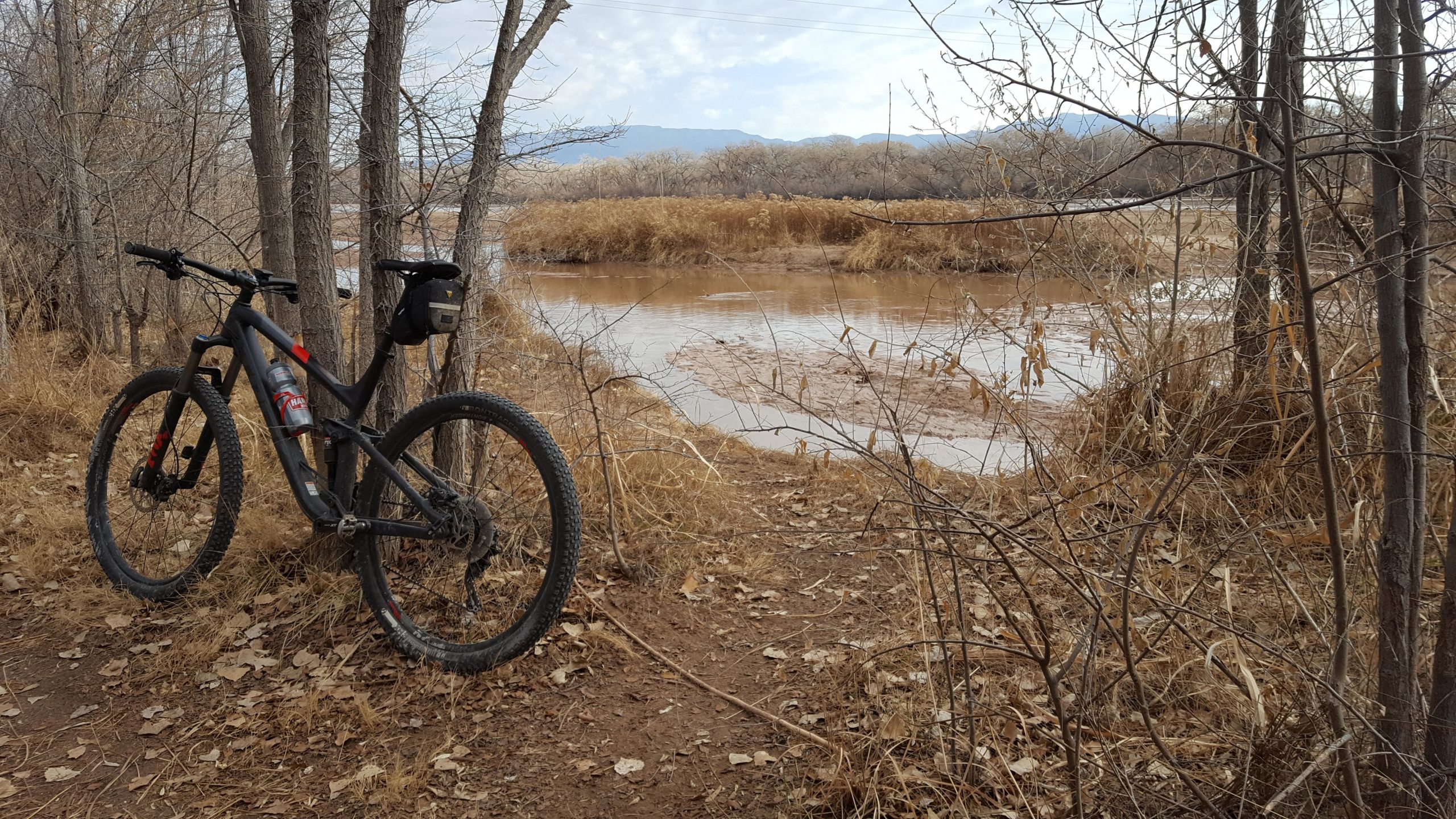 A mountain bike leaning against a tree near a riverbank surrounded by tall grasses and bare trees. The landscape features earthy tones with dried leaves on the ground and a view of the river flowing gently in the background. Albuquerque Bosque mountain bike trail.