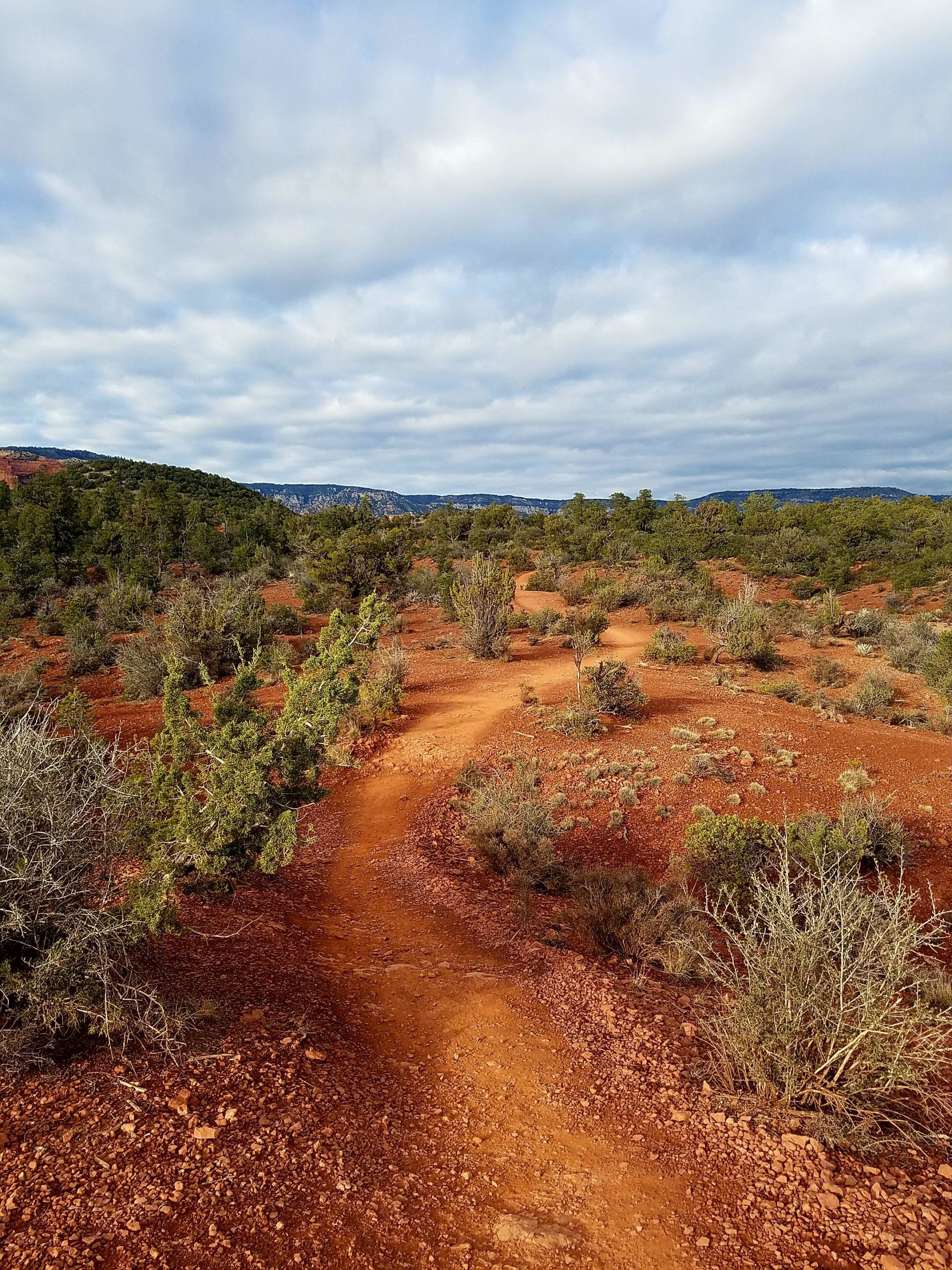 A winding, reddish dirt path meanders through a desert landscape dotted with sparse vegetation and shrubs under a cloudy sky. Rolling hills and distant mountains are visible in the background, creating a tranquil outdoor scene. Chuck Wagon mountain bike trail.