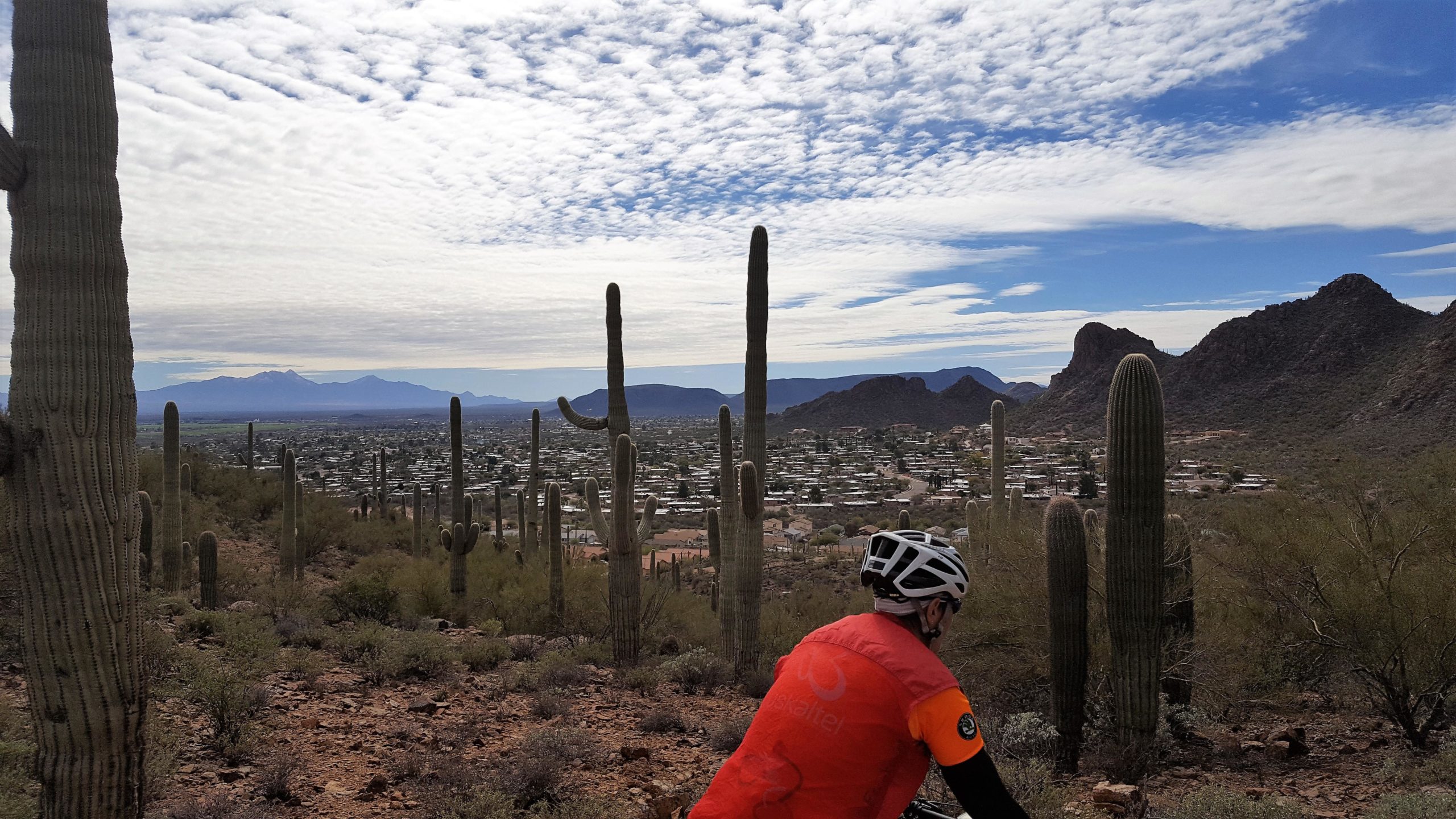 A cyclist wearing an orange and black jersey is seen from behind, enjoying a scenic view of a desert landscape filled with tall cacti. In the background, a valley leads to a town, framed by mountain ranges under a partly cloudy sky. Robles Pass mountain bike trail.