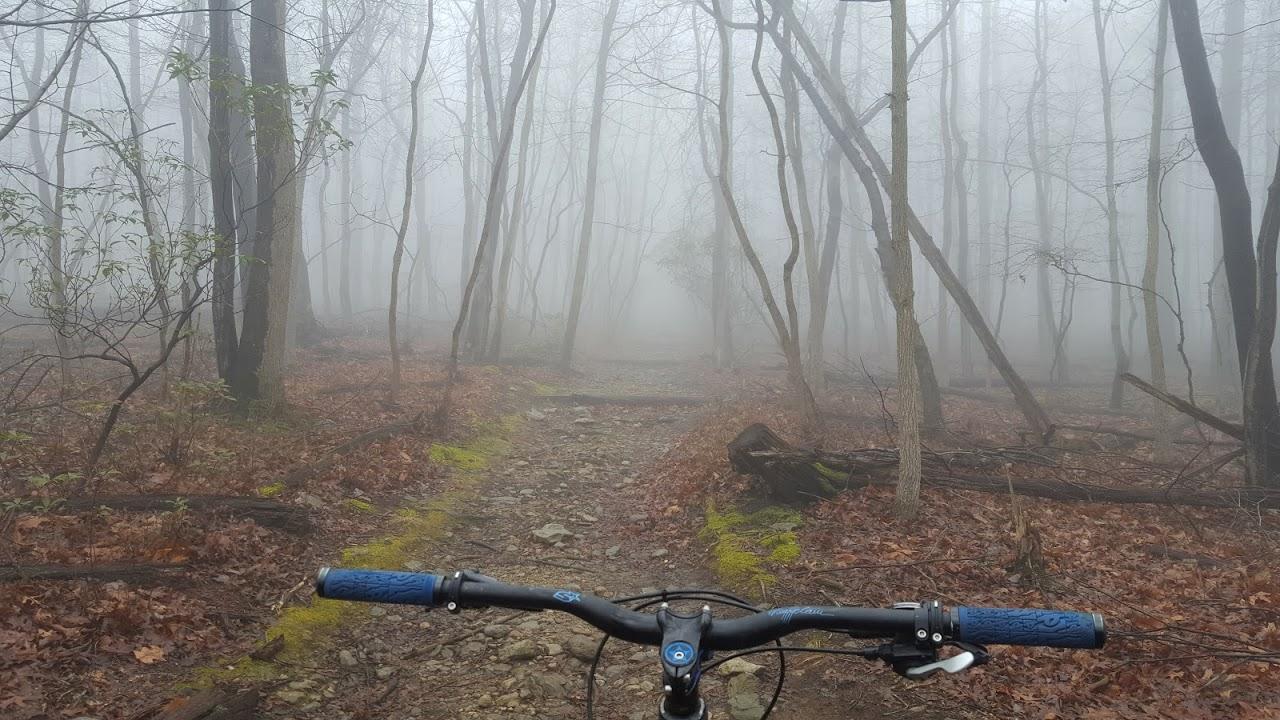 Mountain bike handlebars in focus, overlooking a misty forest path covered in fallen leaves and rocks. Fog obscures the trees in the background, creating a serene, atmospheric scene of the woods. Frederick Watershed mountain bike trail.