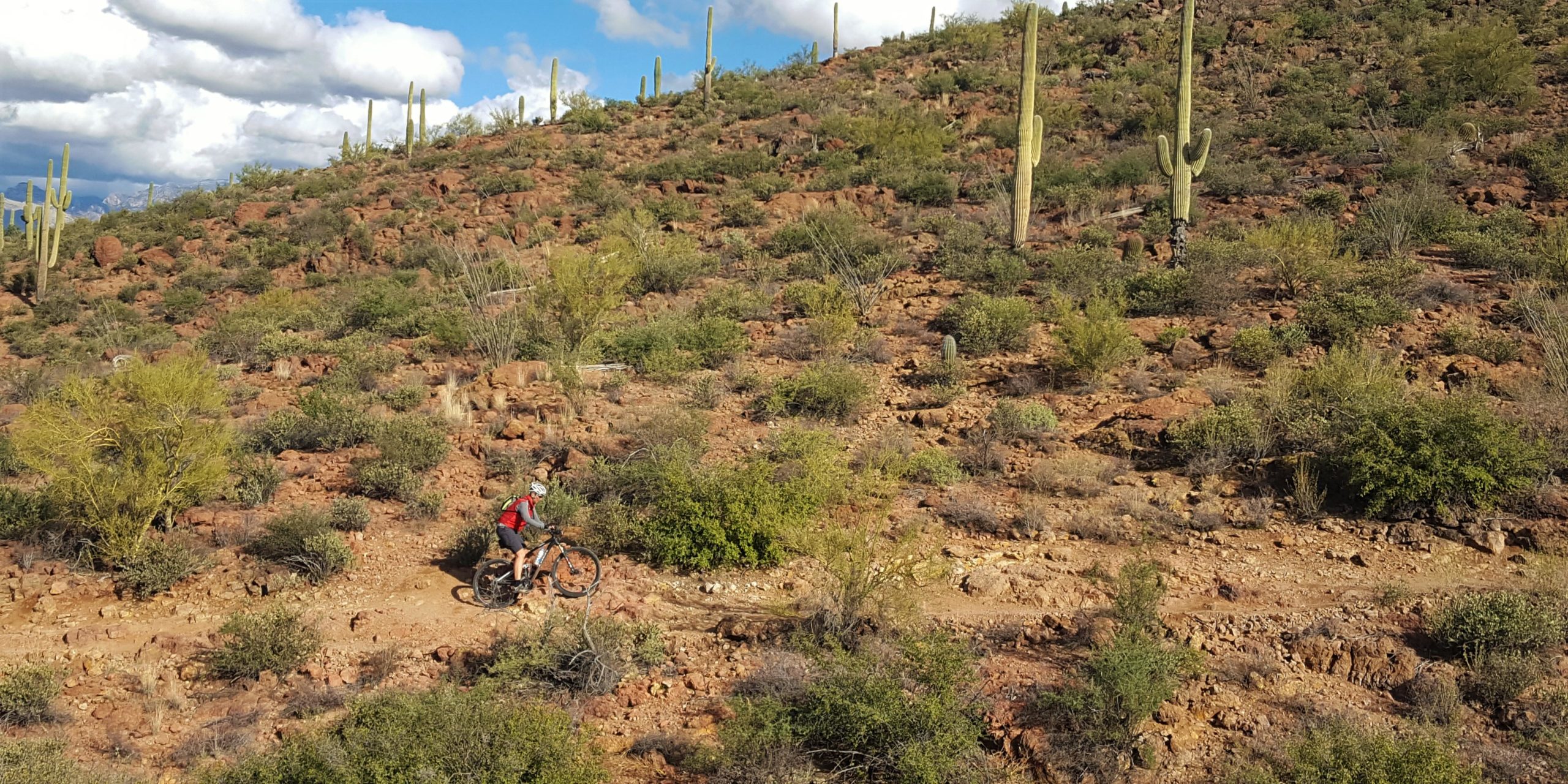 A mountain biker rides along a dirt trail through a rugged desert landscape, featuring rocky terrain, cacti, and sparse vegetation under a partly cloudy sky. Sweetwater Preserve mountain bike trail.