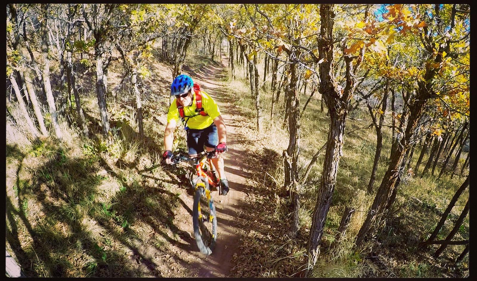 A mountain biker riding on a dirt trail surrounded by trees with yellow and green leaves. The rider is wearing a bright yellow shirt and a blue helmet, navigating through a forested area on a sunny day. Round Valley mountain bike trail.