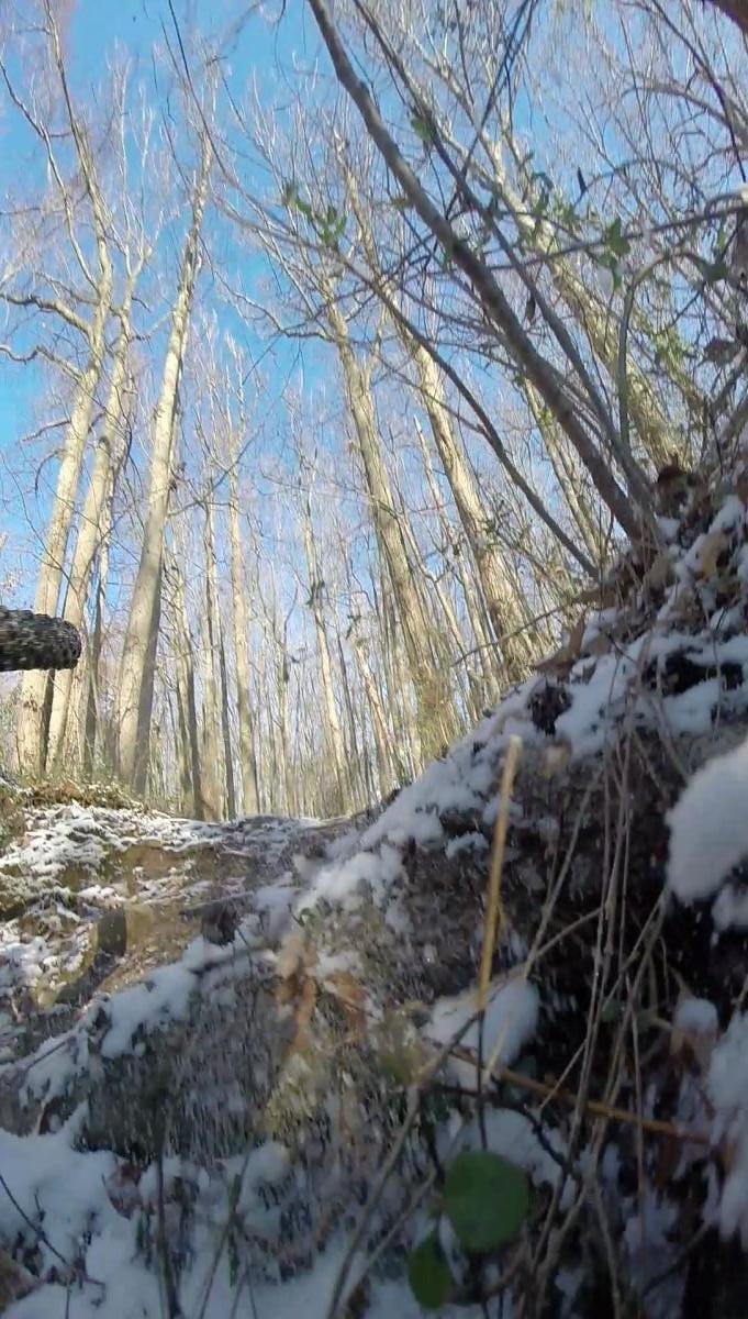 A close-up view of a snowy forest trail with visible tree trunks and bare branches under a clear blue sky. The ground is partially covered with snow and leaves, suggesting winter conditions. A bicycle tire is partially visible, indicating that the scene captures an outdoor cycling adventure. Wolfes Pond park mountain bike trail.