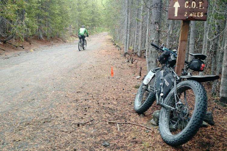 A mountain bike with fat tires rests on a forest trail, partially obscured by pine needles and debris. In the background, a cyclist in a green jacket rides away on the same path. A wooden signpost indicates the direction to the Continental Divide Trail, 2 miles ahead. The surrounding area is dense with trees, creating a serene and natural atmosphere.