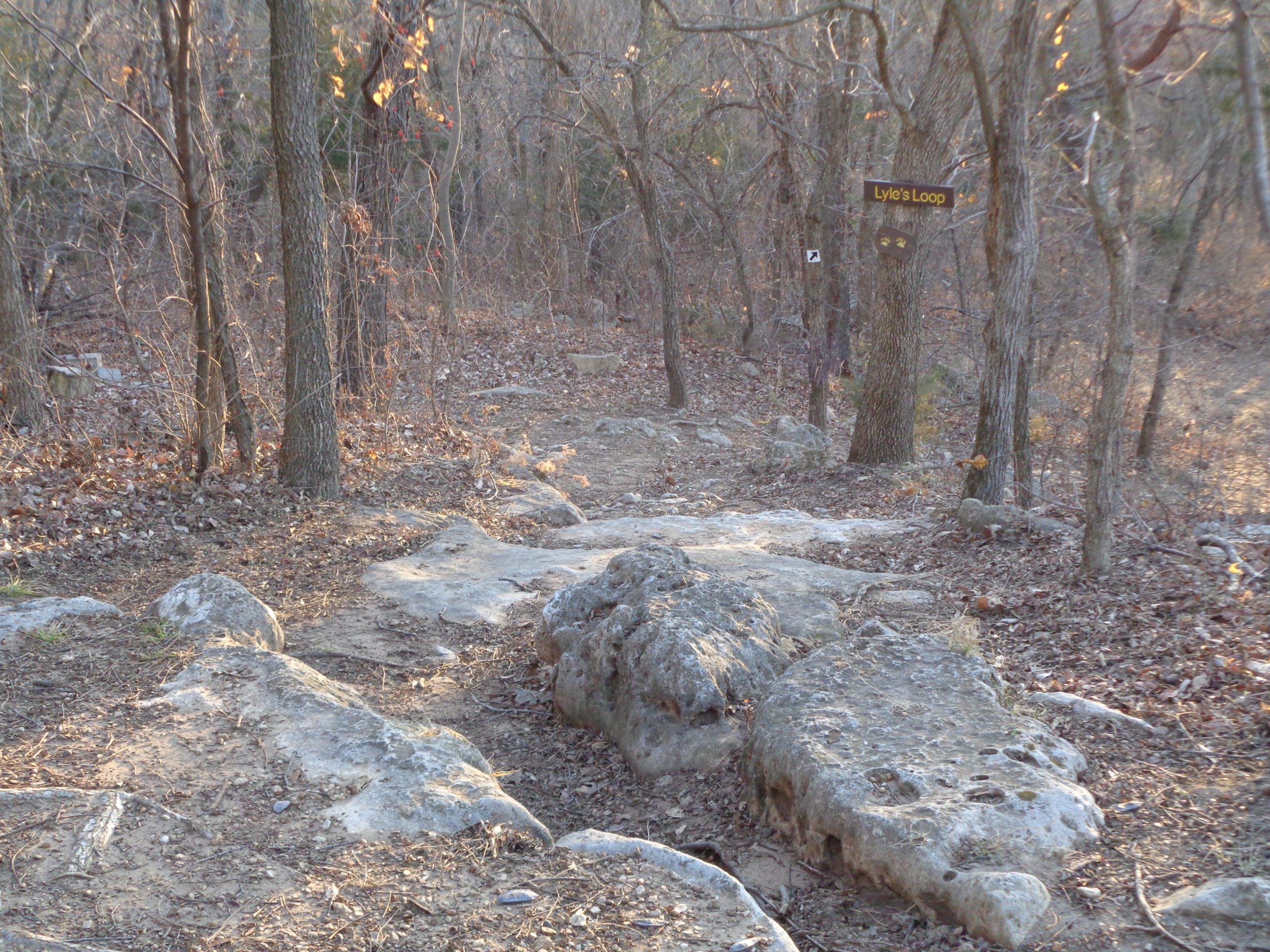 A dirt trail leading into a wooded area, with large rocks and fallen leaves scattered along the ground. On the right side, a wooden sign labeled "Lyle's Loop" is visible among the trees. The scene is bathed in soft, warm light, indicating early evening or late afternoon. Camp Horizon mountain bike trail.
