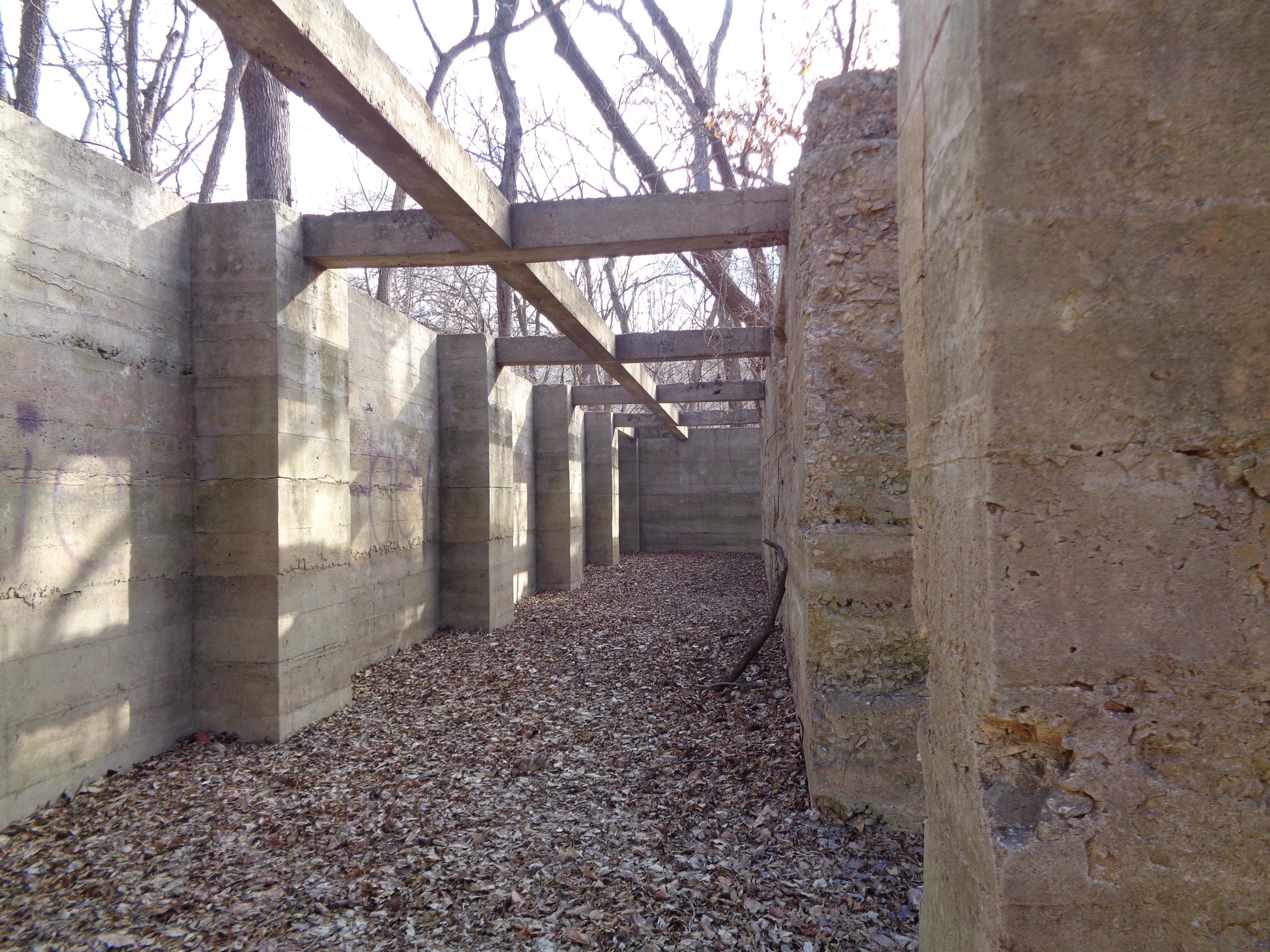 Concrete ruins of a structure surrounded by bare trees and scattered leaves on the ground, with beams overhead. The walls are weathered and show signs of age, suggesting an abandoned site in a wooded area. Camp Horizon mountain bike trail.