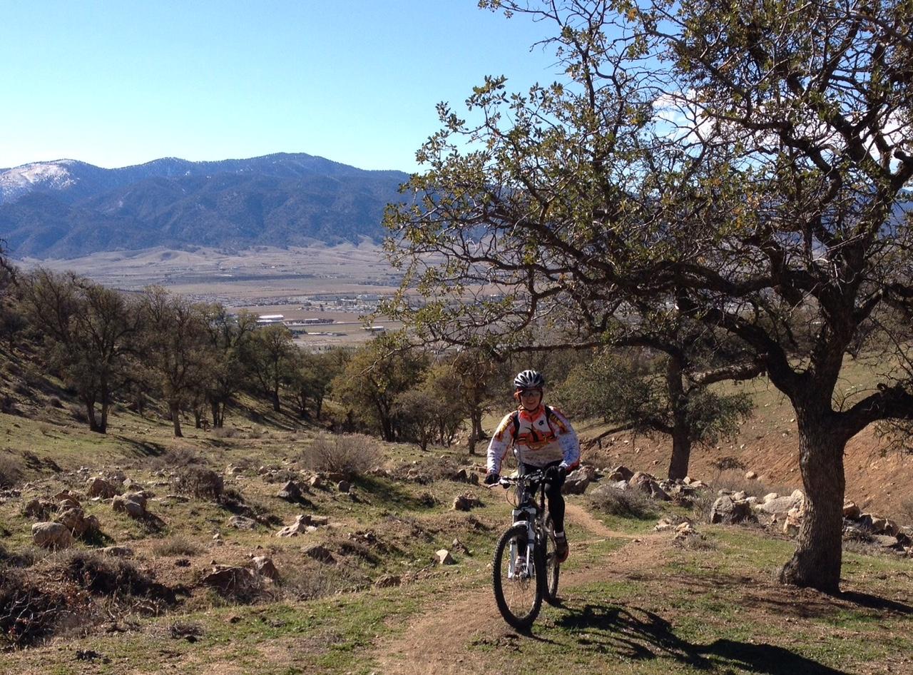 A mountain biker rides along a dirt trail in a scenic outdoor area with rolling hills, trees, and distant mountains under a clear blue sky. TMTA Lehigh trails mountain bike trail.