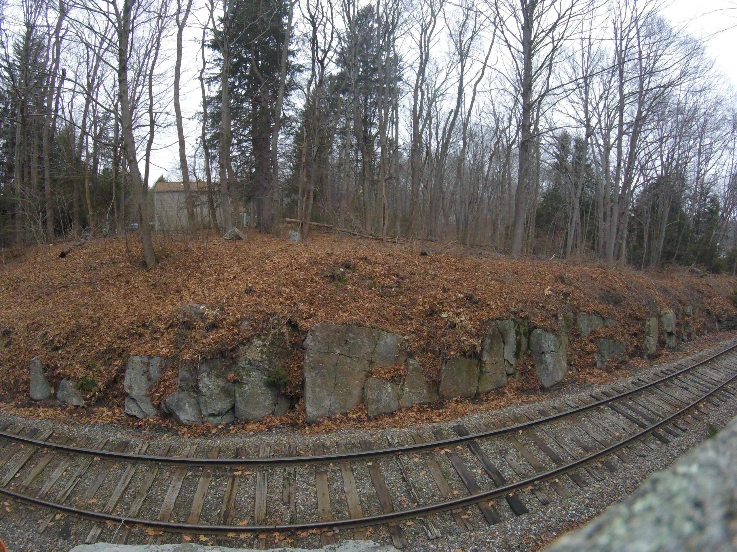 A landscape featuring a railway track bordered by rocky terrain and a hillside covered in dry leaves. Bare trees rise in the background, with a faint structure partially visible through the foliage. The atmosphere is overcast, suggesting an early spring or late autumn setting. Canfield mountain bike trail.