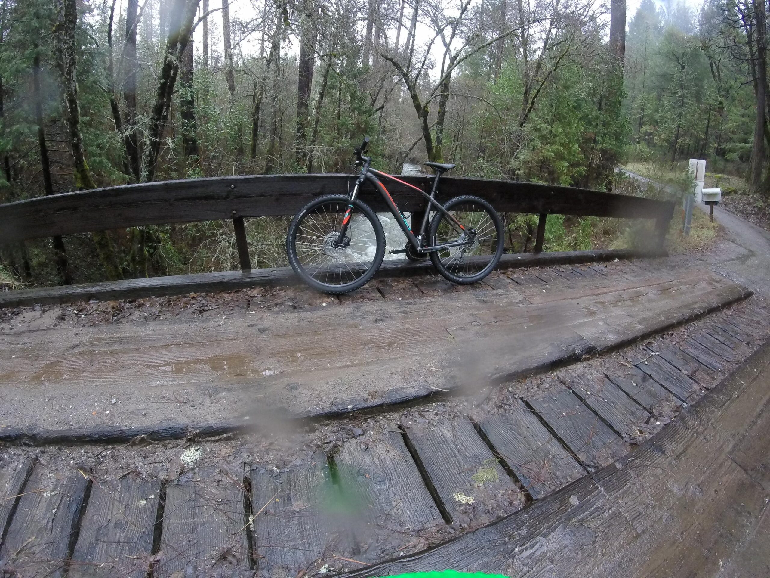 Specialized Rockhopper 29: A mountain bike resting on a wooden bridge surrounded by a dense forest during rainy weather. The path leads into the woods, with wet ground and lush greenery visible in the background.