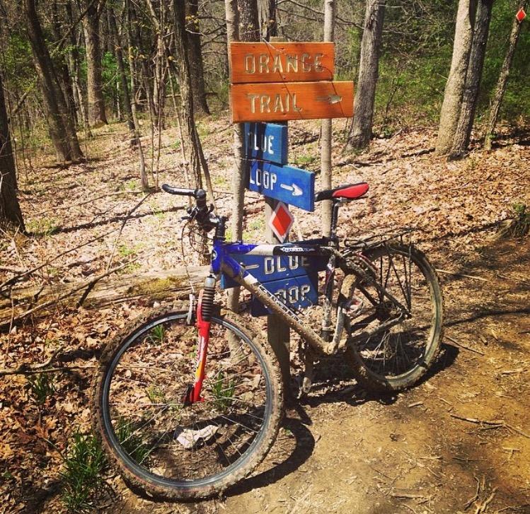 A mountain bike covered in mud leans against a trail signpost in a forest. The sign indicates directions for the "Orange Trail" and the "Blue Loop." The ground is covered with fallen leaves, and the surrounding trees suggest a natural outdoor setting.
