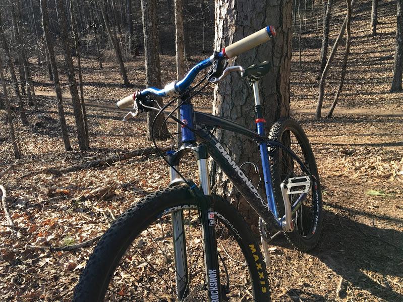 Mountain bike leaning against a tree in a wooded area, with dry leaves covering the ground and tall trees in the background. The bike features a black frame with blue accents and is equipped with knobby tires. Dwelling Loop mountain bike trail.