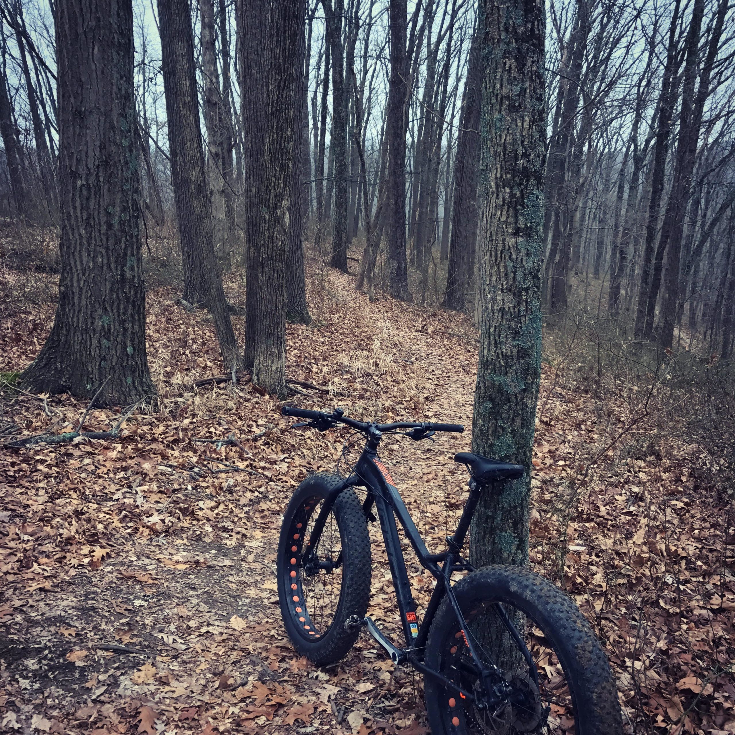 A black fat tire bike leans against a tree along a winding trail in a wooded area, covered in fallen leaves. The atmosphere is slightly overcast, indicating a cool, possibly damp day. Brown County Park mountain bike trail.