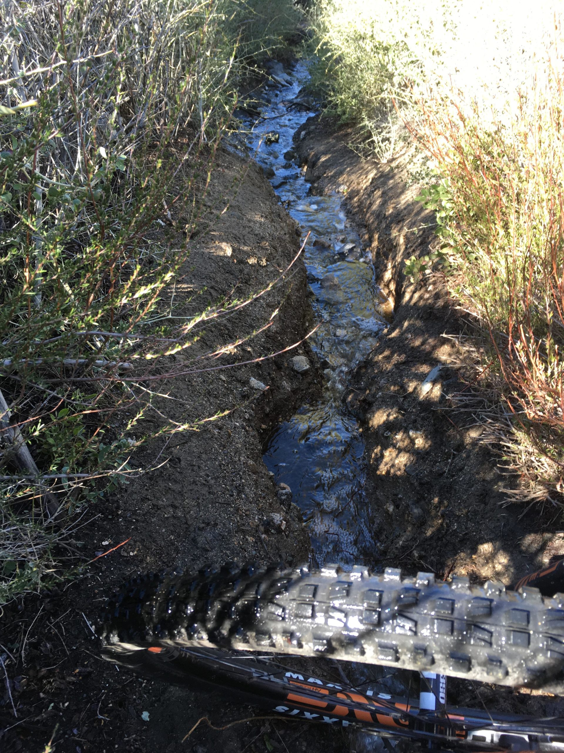 A close-up view of a mountain bike tire positioned near a narrow stream running through a natural environment, surrounded by bushes and dirt. The water reflects the sunlight, and the tire shows signs of mud, indicating it has been used off-road. Gabrielino Trail mountain bike trail.
