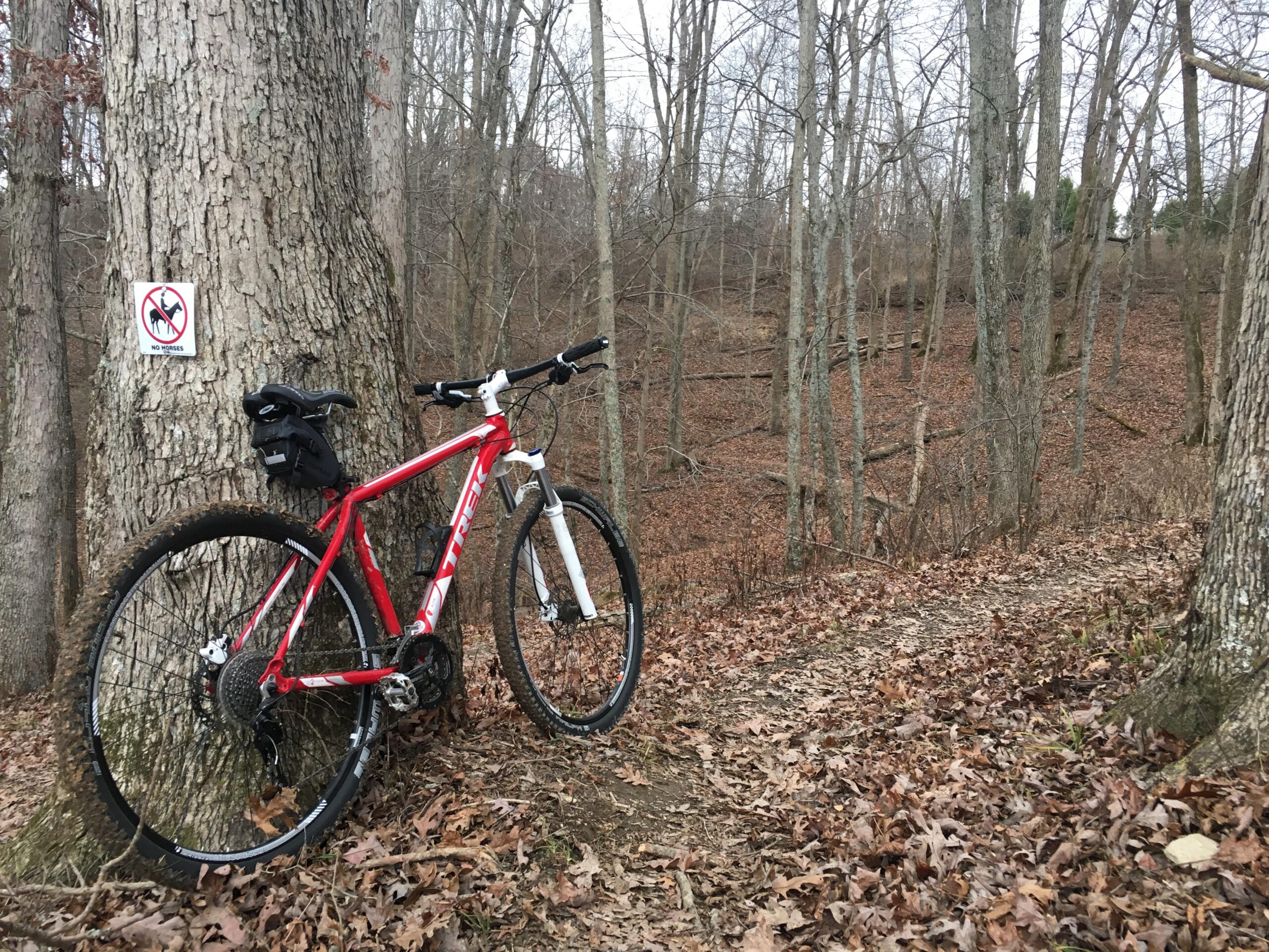 Trek Cobia: A red mountain bike leaning against a large tree in a wooded area, with dry leaves covering the ground. A sign on the tree reads "No Horses." The scene depicts a quiet, natural trail with leafless trees in the background.
