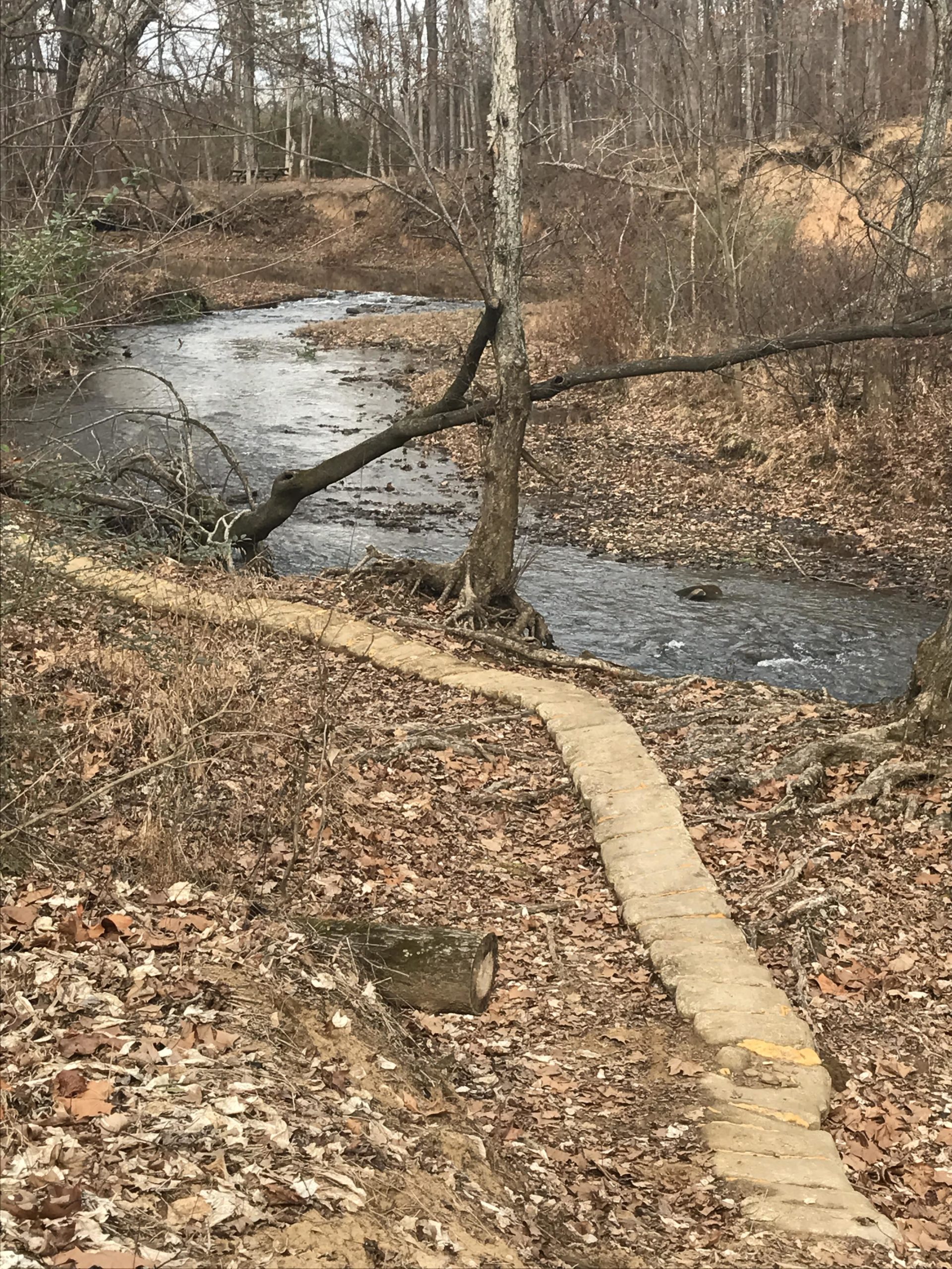 A narrow, winding stone path alongside a gently flowing creek, surrounded by bare trees and fallen leaves. The scene captures a tranquil, natural landscape during the cooler months. Spadra Creek Nature Trail mountain bike trail.