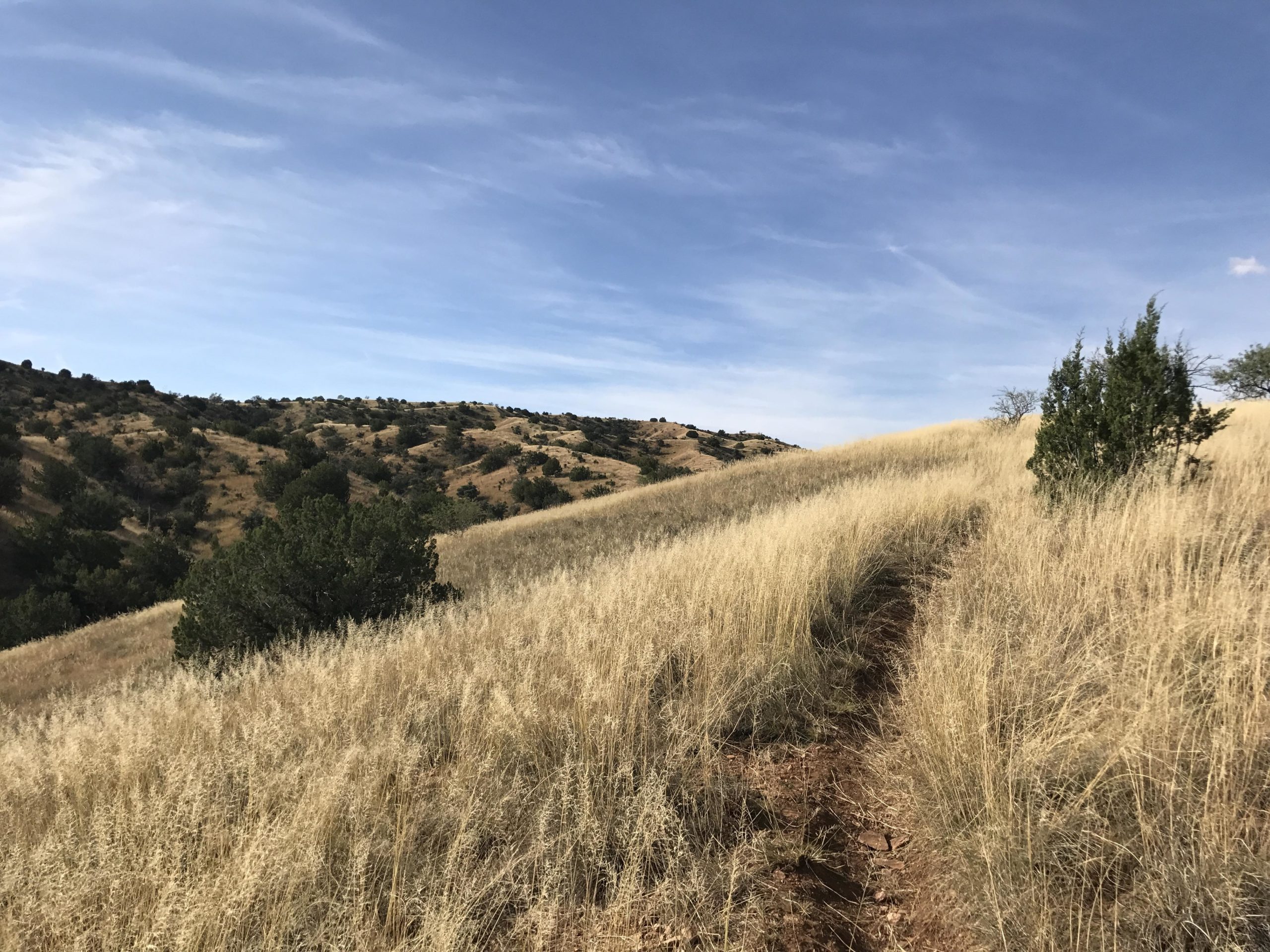 A scenic view of a grassy hillside with rolling terrain under a bright blue sky. The landscape features dry grass, scattered trees, and a narrow dirt path winding through the vegetation. Arizona Trail mountain bike trail.