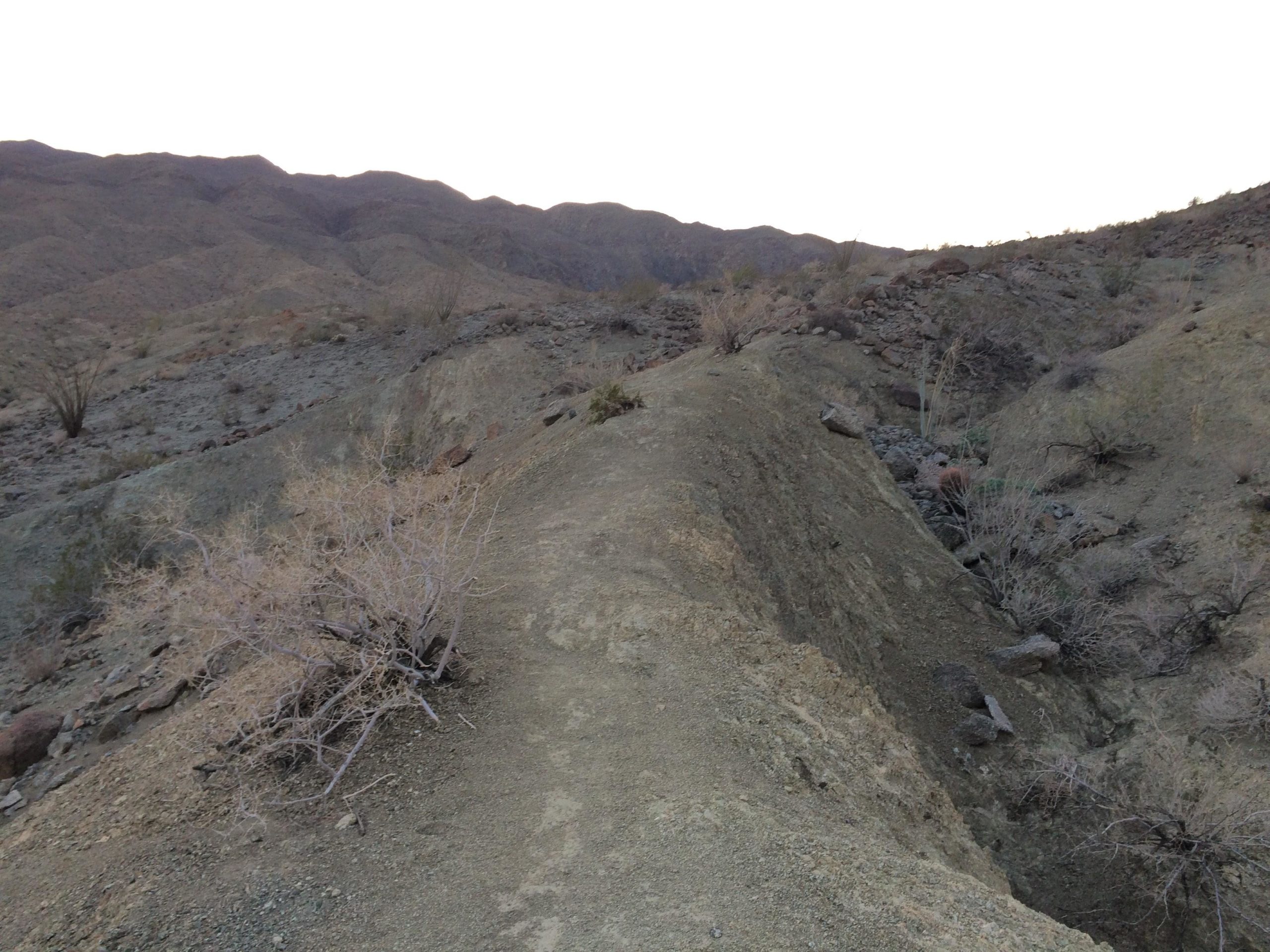 A rocky hillside in a desert landscape, featuring sparse vegetation and rugged terrain, with mountains in the background under a clear sky. Boo Hoff Trail mountain bike trail.