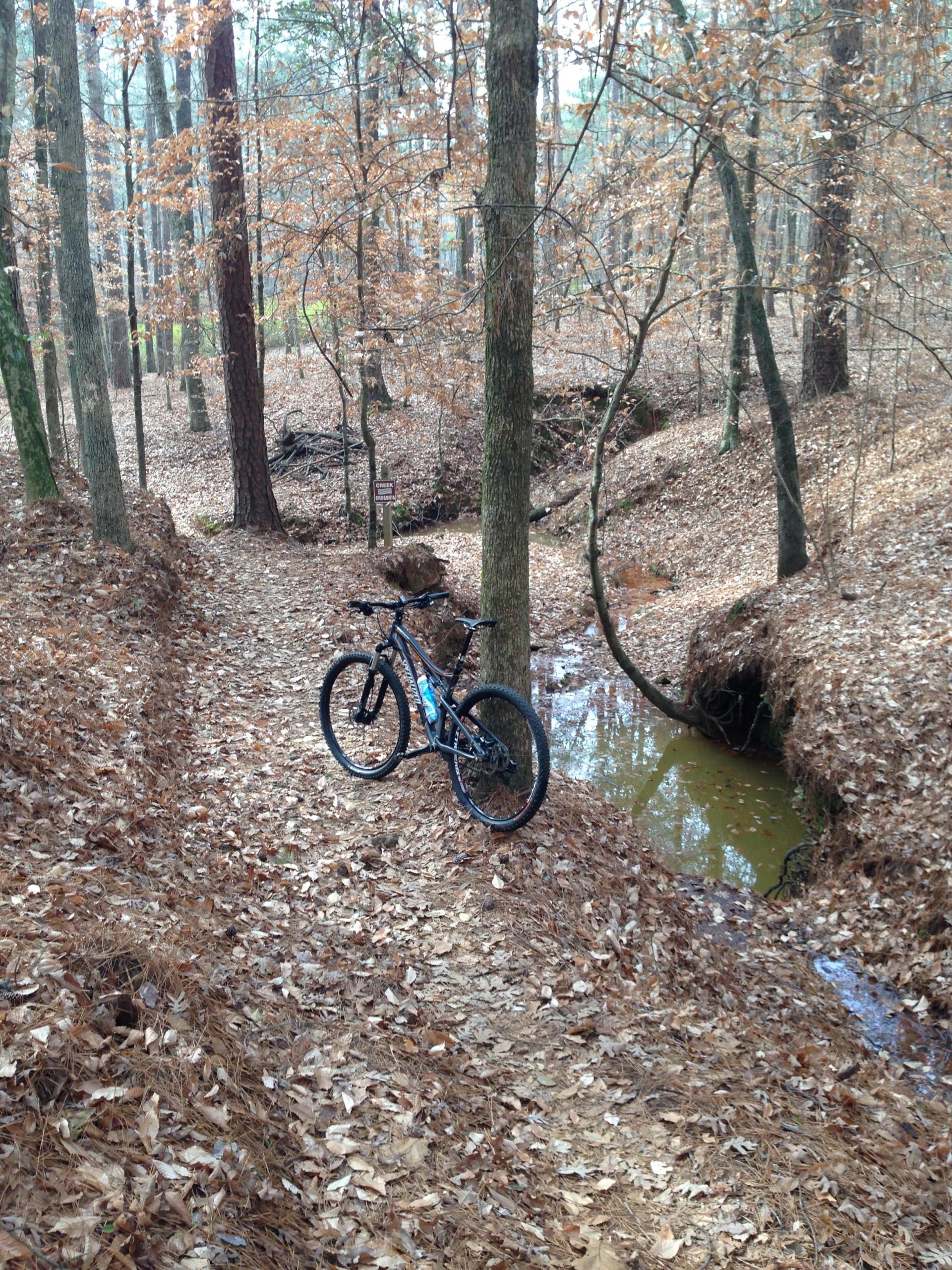 A mountain bike is leaning against a tree along a dirt trail in a forest. The ground is covered with fallen leaves, and there is a small stream nearby. Trees with sparse, brown foliage are visible in the background, suggesting a late autumn scene. A sign can be seen along the trail. Lincoln Parish Park mountain bike trail.