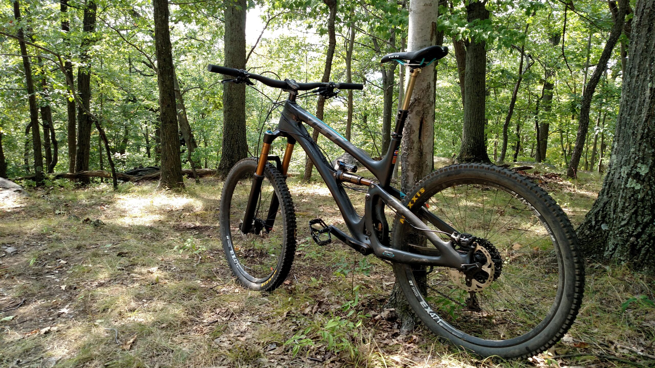 Yeti SB6: A mountain bike leaning against a tree in a lush forest setting, surrounded by green foliage and dappled sunlight filtering through the leaves. The bike features a sleek design with thick tires suitable for off-road trails.