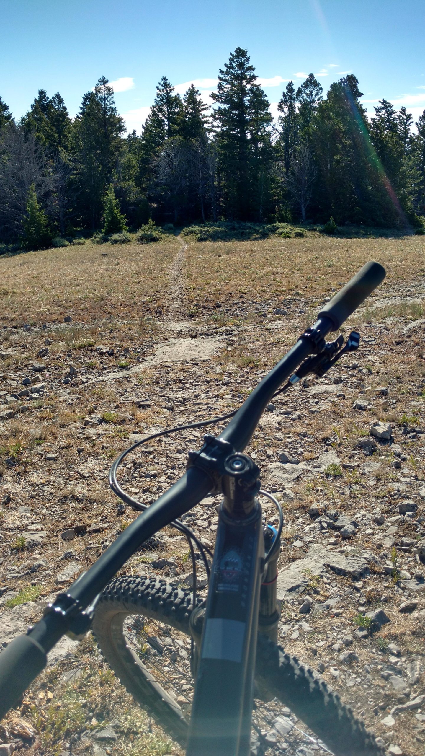 A scenic view from the handlebars of a mountain bike, showcasing a rocky trail extending into a sunlit forest. The foreground features the bike