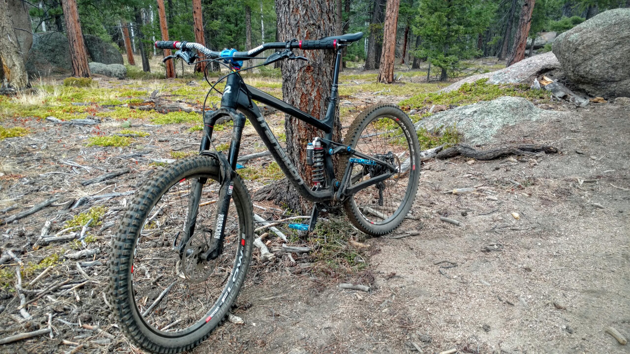 Transition Patrol: A mountain bike leaning against a tree in a wooded area, surrounded by dirt, rocks, and scattered pine needles. The bike features a black frame with blue and red accents.
