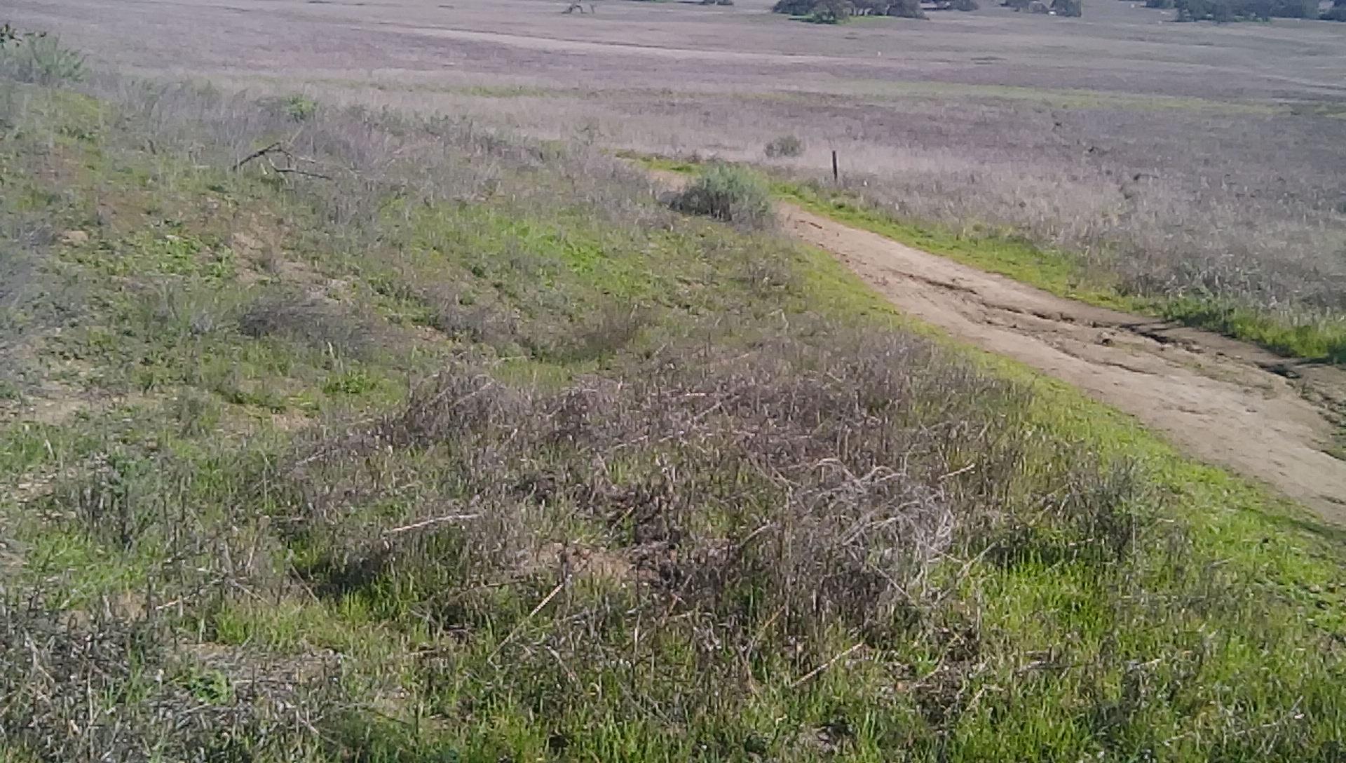 A scenic view of a grassy landscape featuring a dirt path winding through sparse vegetation. The background showcases rolling hills and an open field with a mix of green and dry grasses under a clear sky. Sylvan meadows (Santa rosa plateau) mountain bike trail.