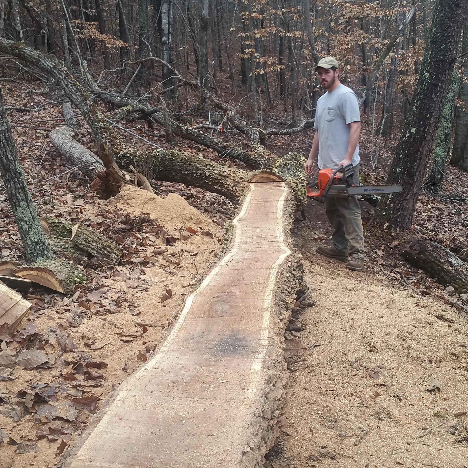 A person stands in a wooded area holding a chainsaw next to a freshly cut log. The log is laid on the ground, showing a smooth, sawed surface, while piles of sawdust are scattered around. Surrounding trees show signs of autumn leaves, and the scene is covered with fallen leaves, creating a rustic atmosphere. Mountain Laurel Trails mountain bike trail.