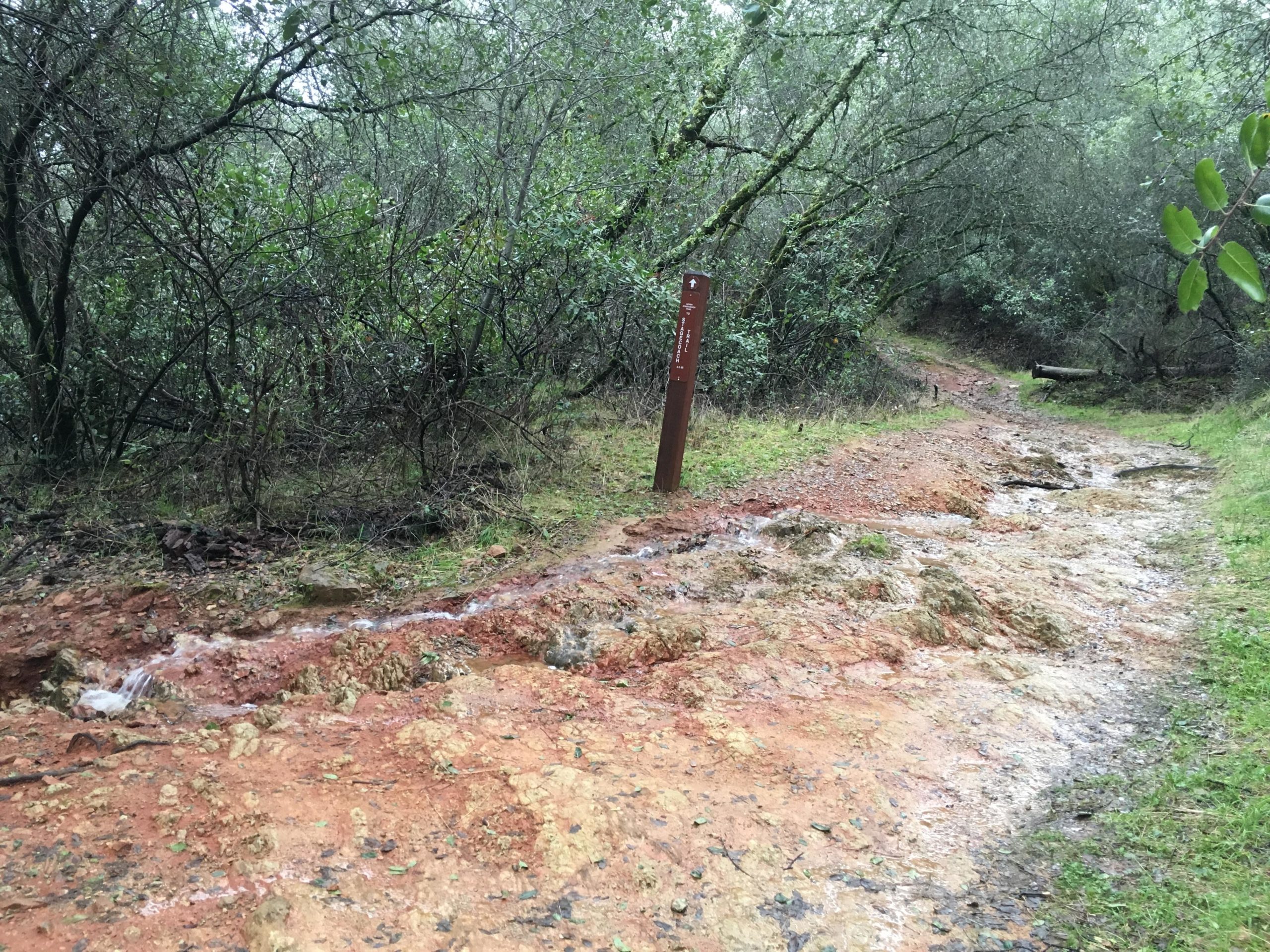 A muddy hiking trail surrounded by lush greenery, with a water flow running down the path. A wooden trail sign is visible on the left side, indicating the route. Stagecoach / Flood / Manzanita mountain bike trail.