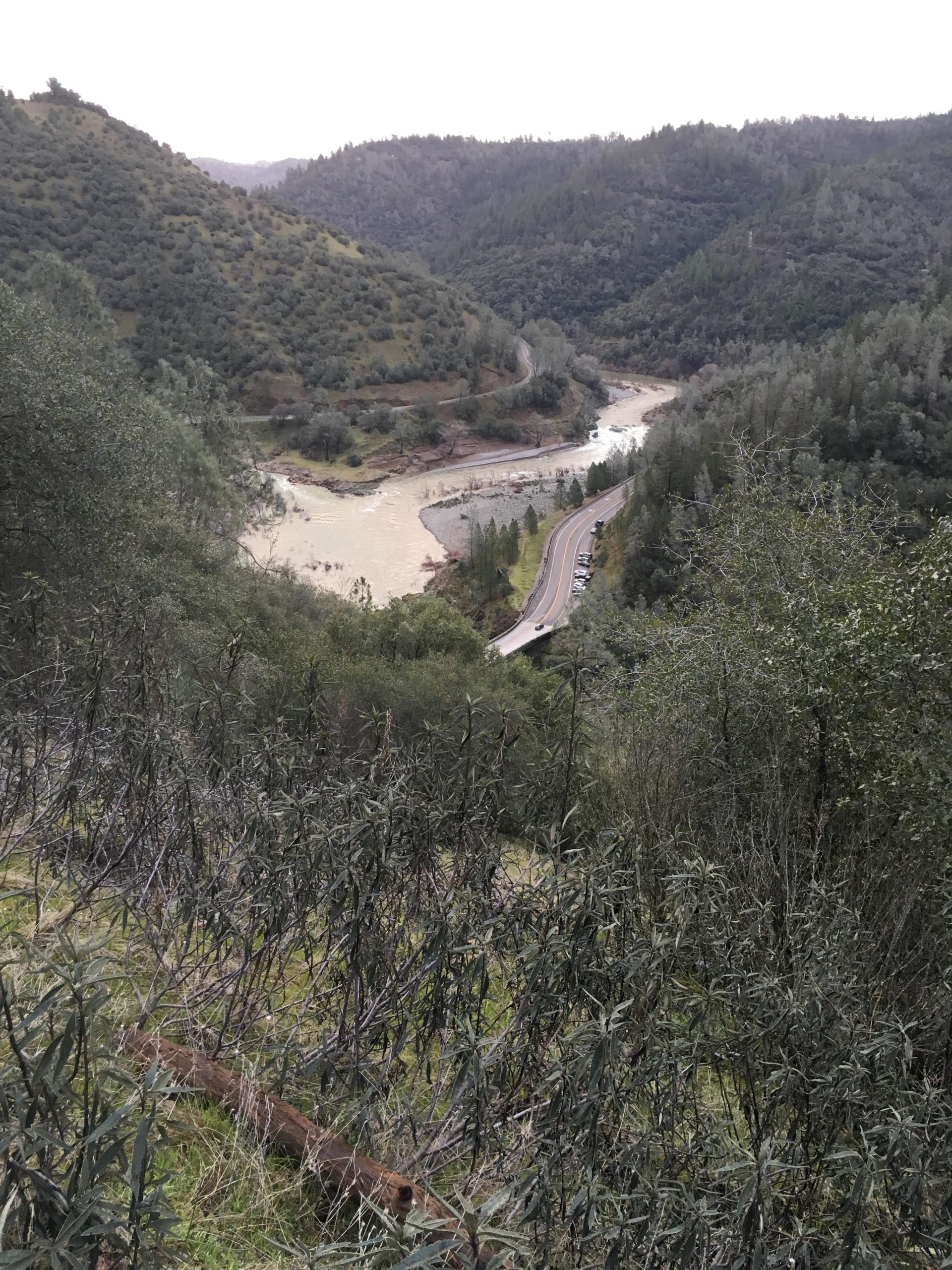 A scenic view of a winding river surrounded by lush green hills and dense foliage, with a curved road alongside the river in the foreground. The landscape is dotted with trees and shrubs, showcasing a peaceful natural environment under an overcast sky. Stagecoach / Flood / Manzanita mountain bike trail.