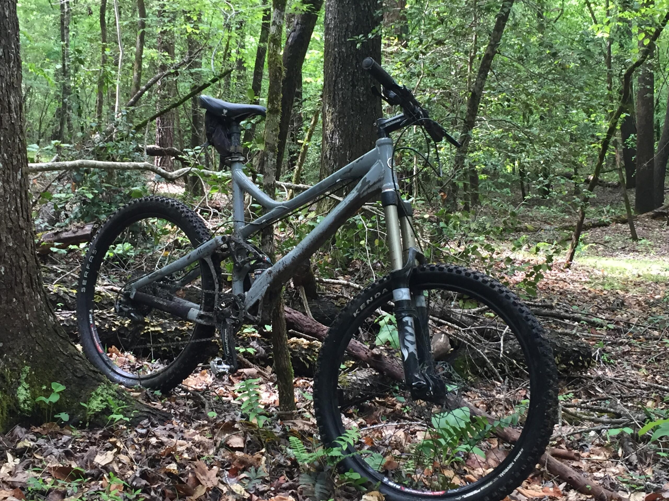 Giant Reign 2: A mountain bike leaning against a tree in a dense forest. The bike is covered in dirt, indicating recent use on a trail surrounded by greenery and fallen leaves. Various trees and underbrush are visible in the background, suggesting an outdoor adventure setting.