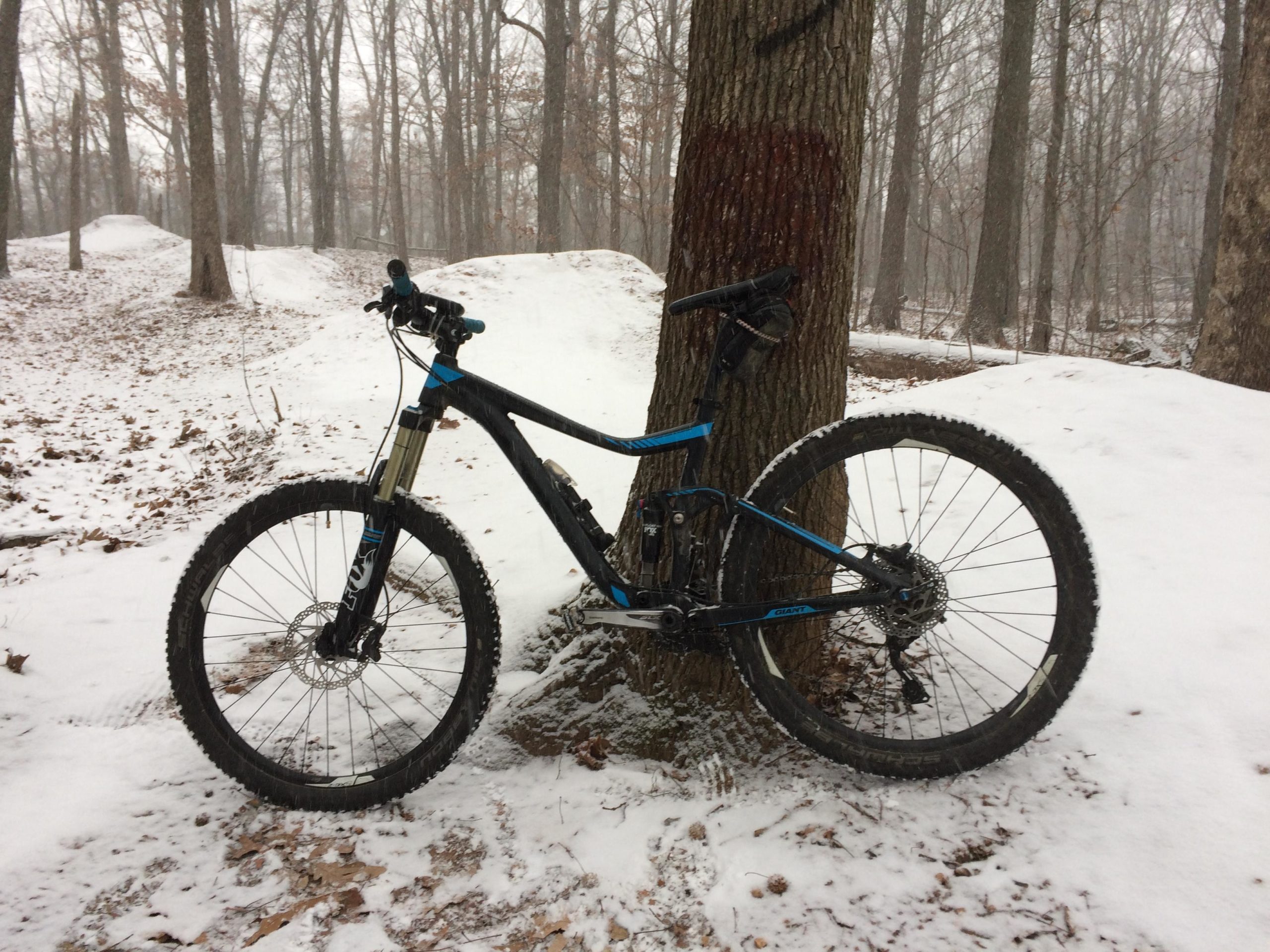 A mountain bike leaning against a tree in a winter landscape, with snow covering the ground and surrounding trails. The scene features a mix of bare trees and patches of snow, creating a quiet, wintry atmosphere. Wolfes Pond park mountain bike trail.