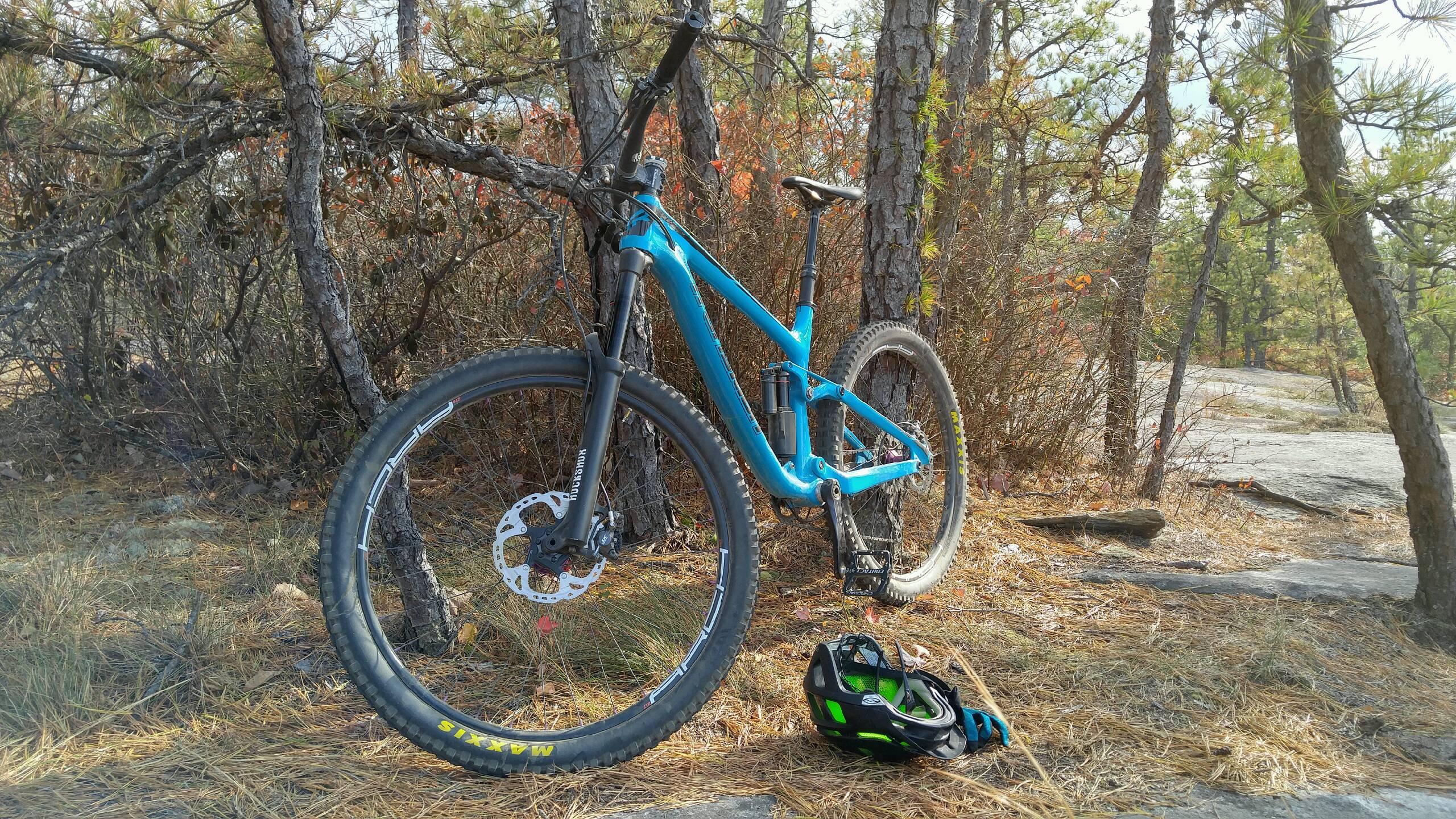 Transition Patrol: A bright blue mountain bike leaning against a tree in a forest setting, with a black and green helmet on the ground nearby. The ground is covered with dry grass and leaves, and the background includes trees with sparse foliage.