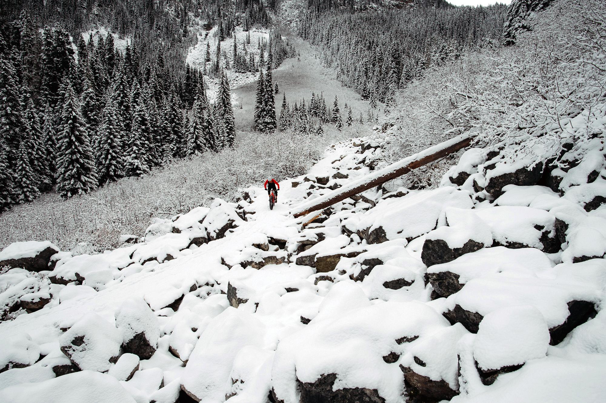 Rocky Mountain Suzi Q: A hiker traverses a snowy, rocky trail lined with tall evergreen trees in a winter landscape. The ground is covered in a thick layer of snow, creating a serene, untouched atmosphere.