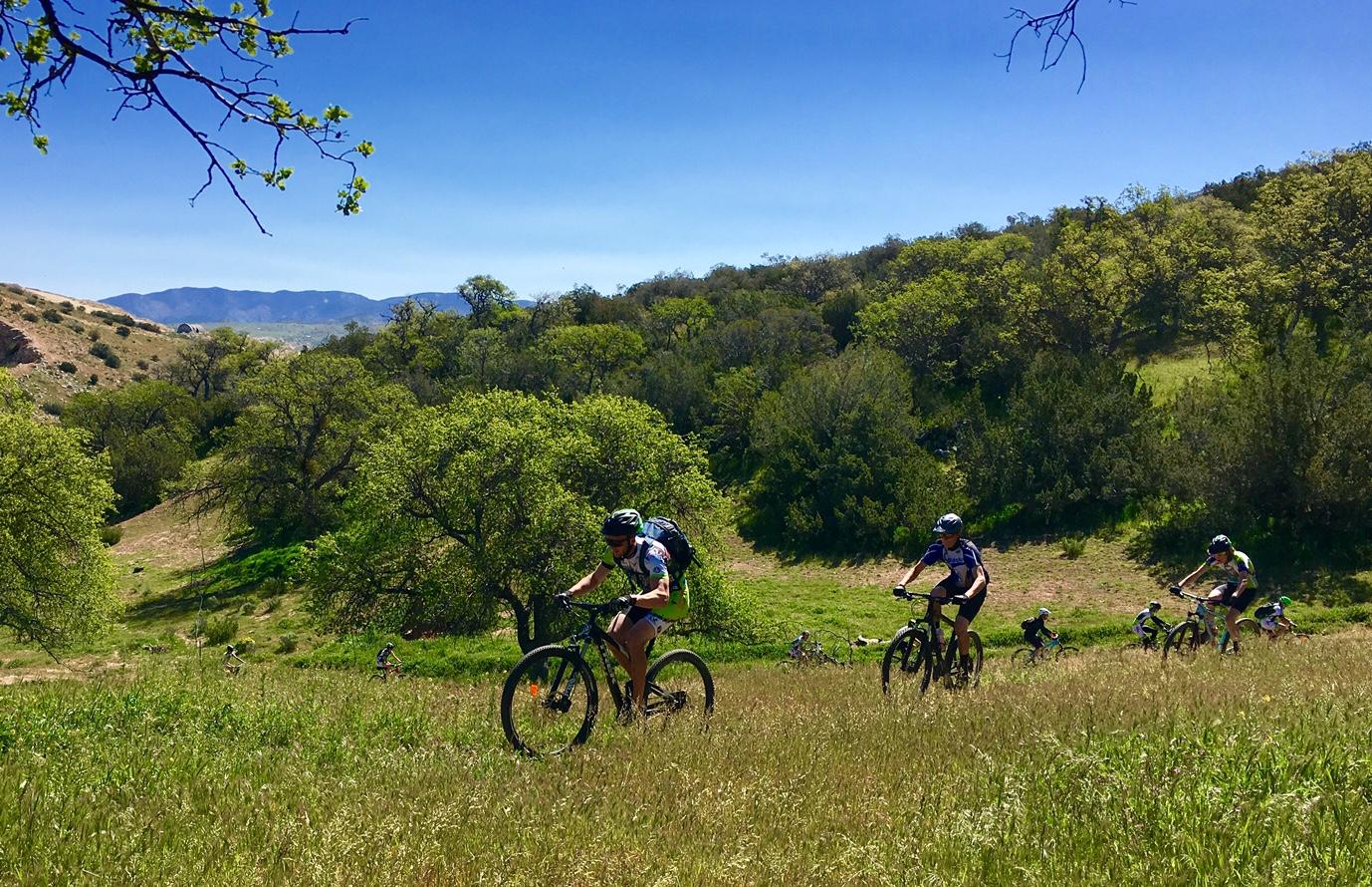 A group of mountain bikers riding through a grassy, hilly landscape on a sunny day. Lush green trees and distant mountains are visible in the background under a clear blue sky. The cyclists are wearing helmets and biking gear, navigating a trail that winds through the natural scenery. TMTA Lehigh trails mountain bike trail.