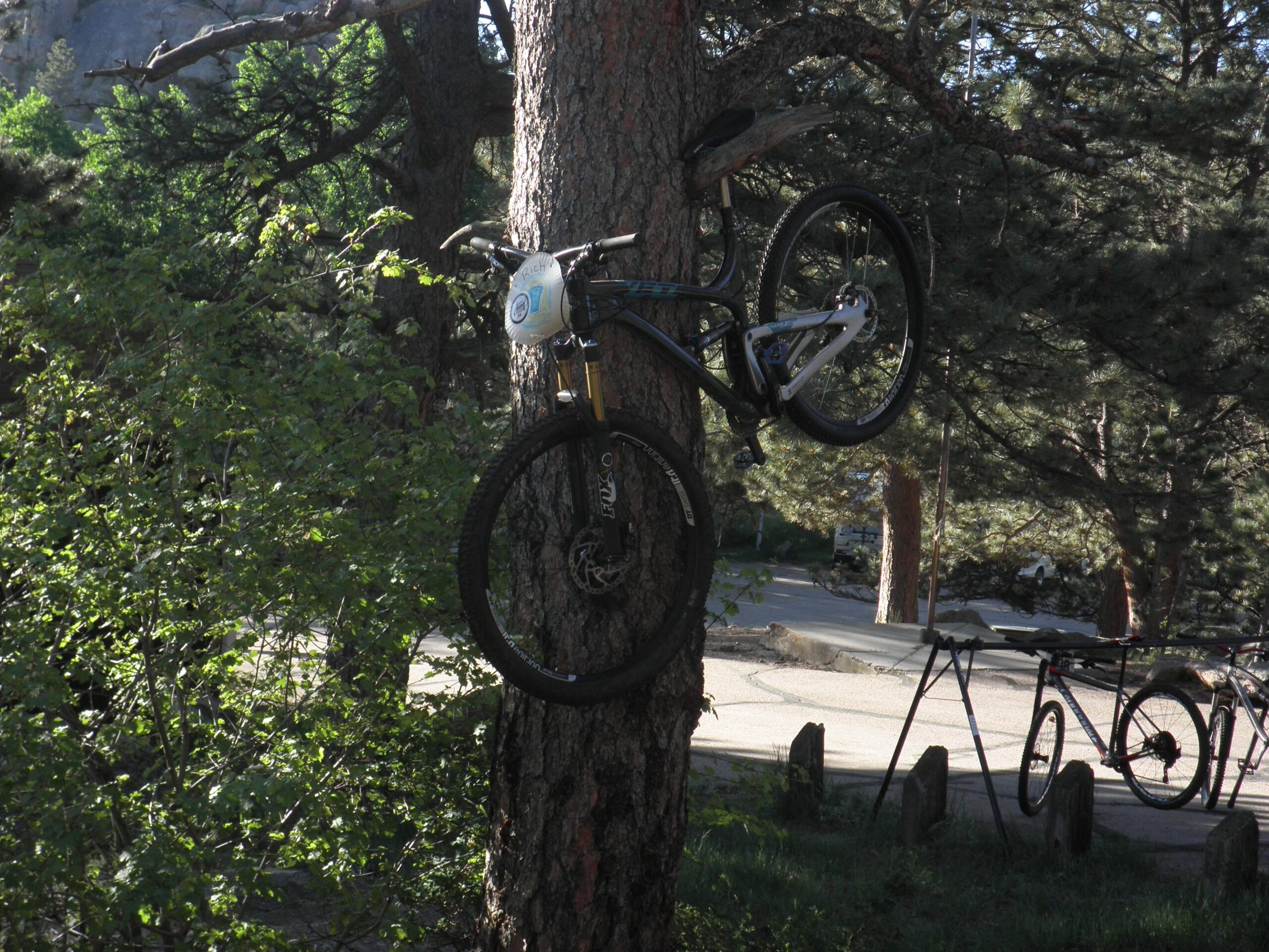 Yeti SB95: A mountain bike is hanging from the branch of a tree, secured by its front wheel. The bike has a number plate attached and is surrounded by greenery, while a parking area with additional bikes can be seen in the background.